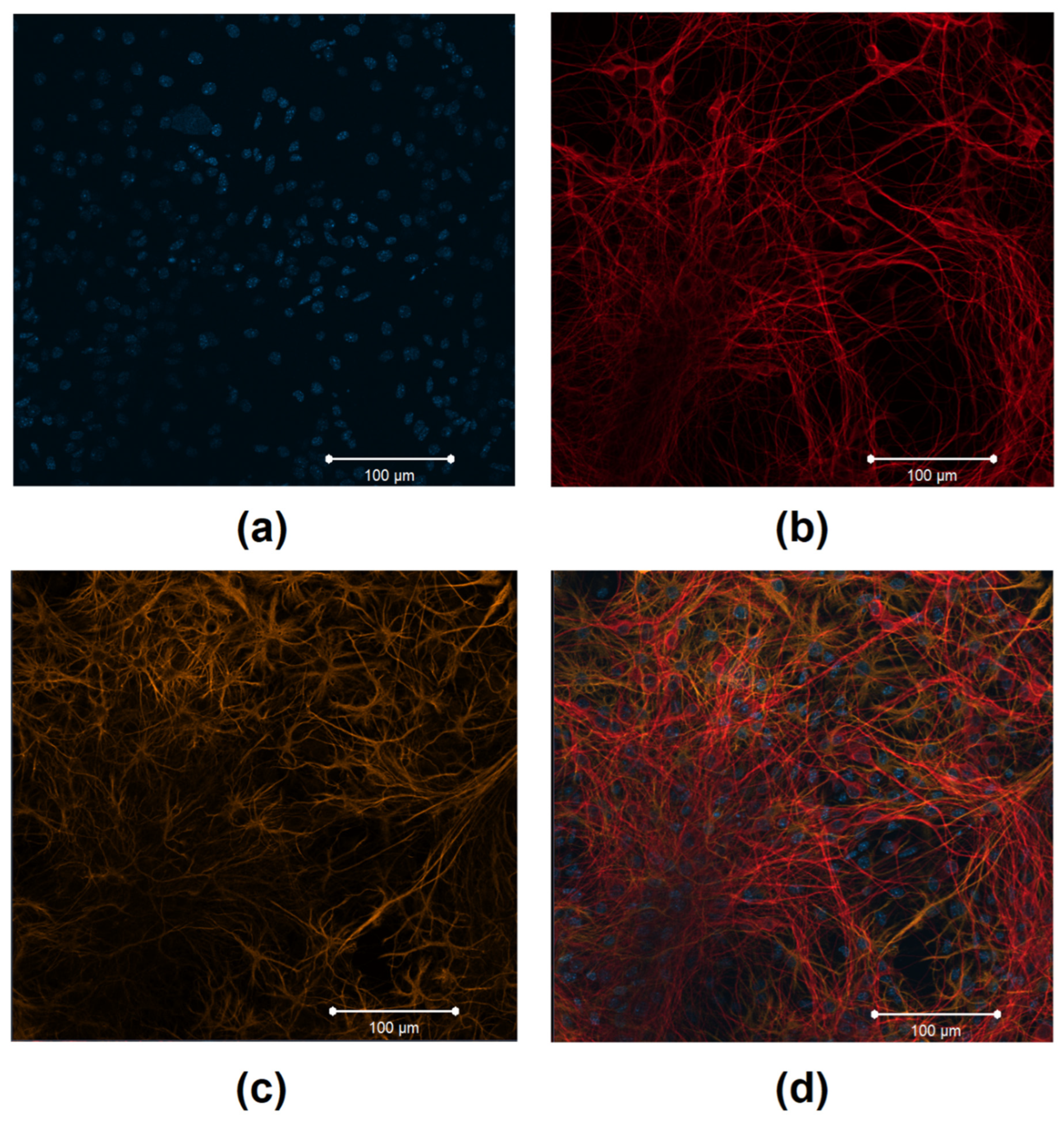 Membranes 12 00948 g001