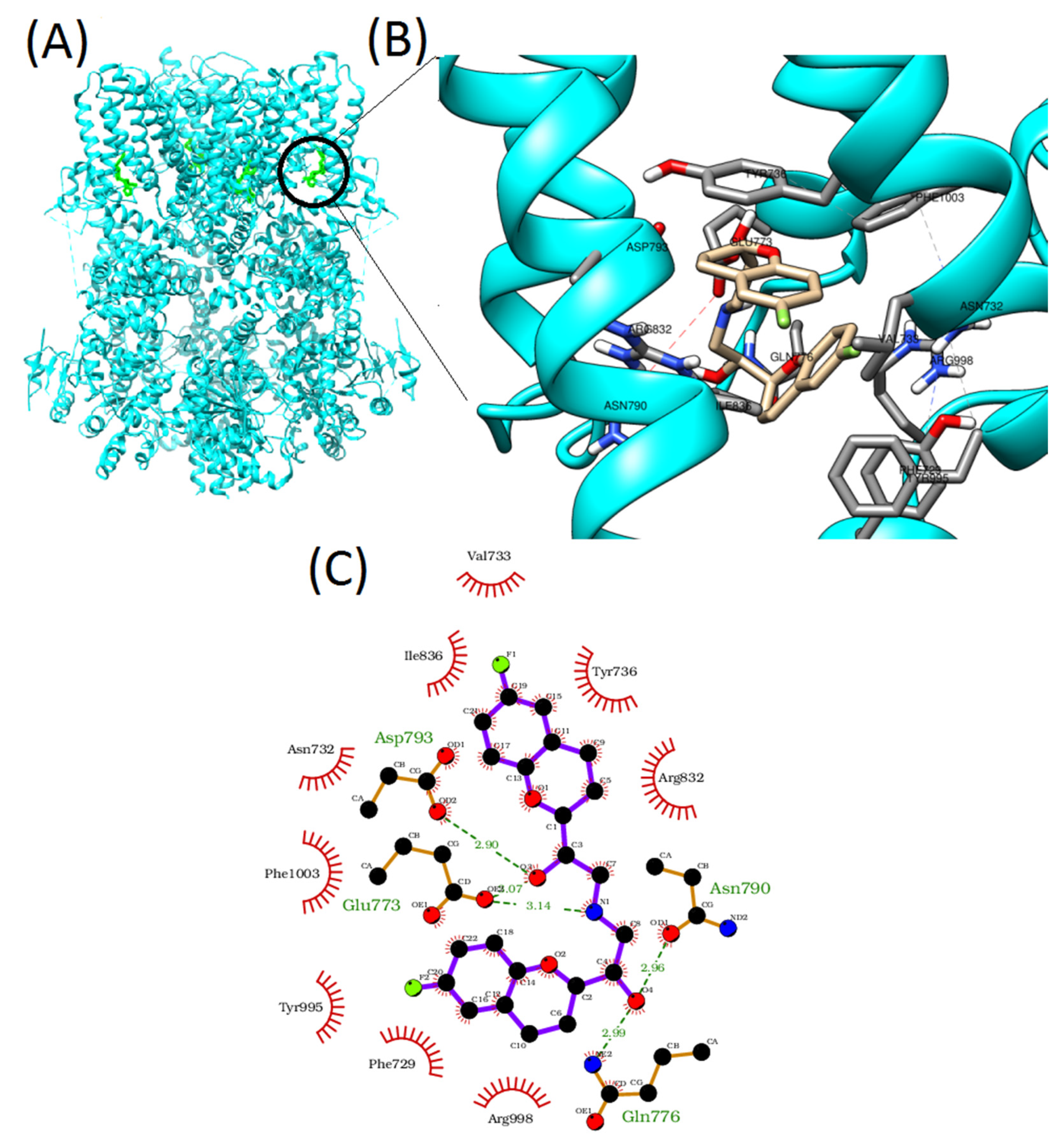 Membranes 12 00954 g003 Membranes 12 00954 g003
