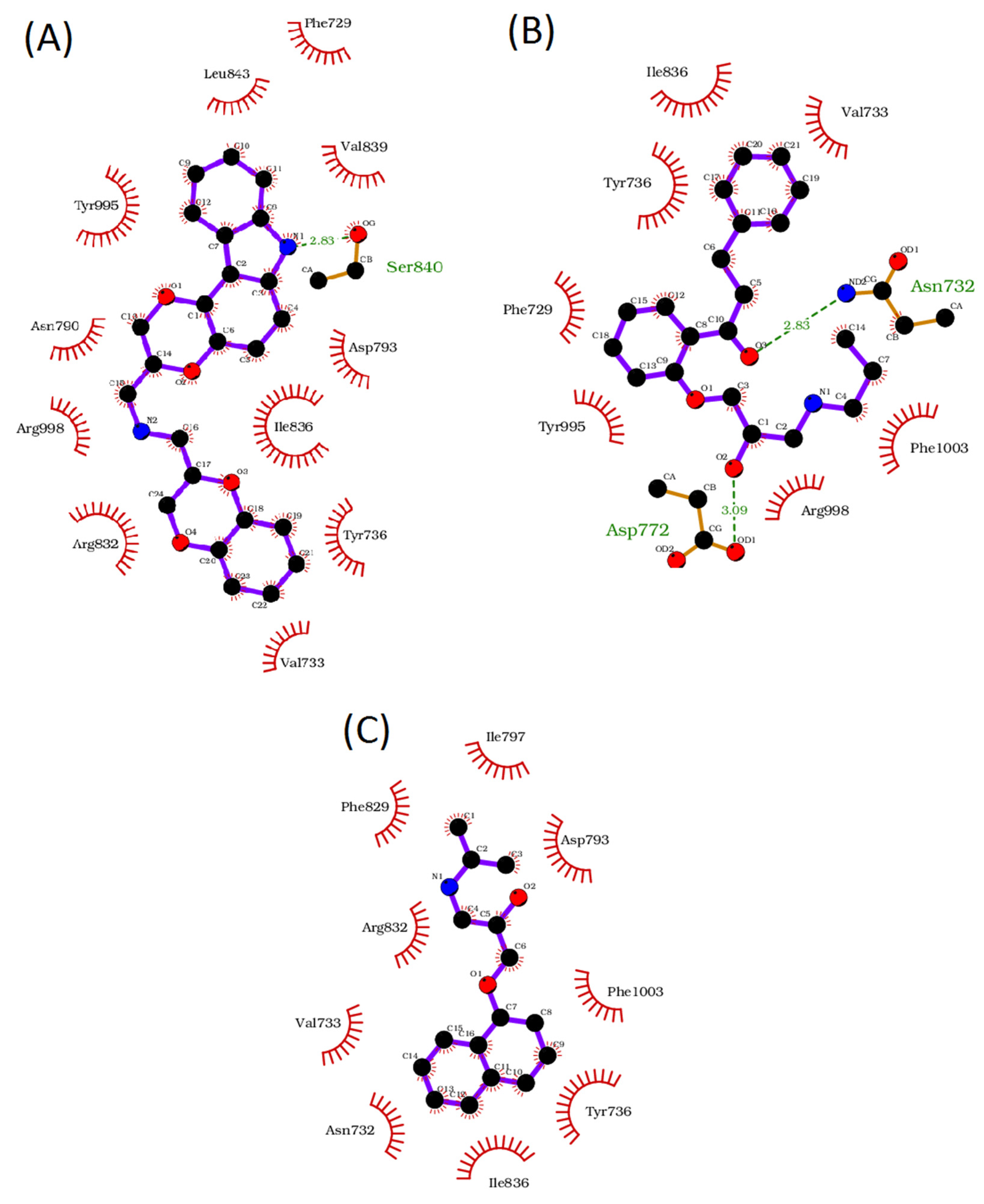 Membranes 12 00954 g004 Membranes 12 00954 g004