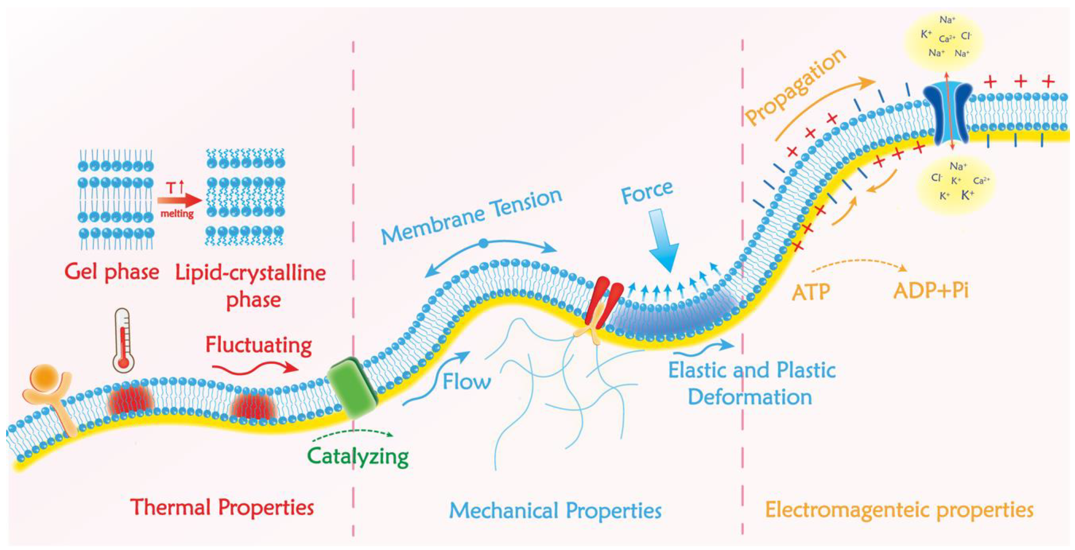 Membranes 12 00957 g001 Membranes 12 00957 g001