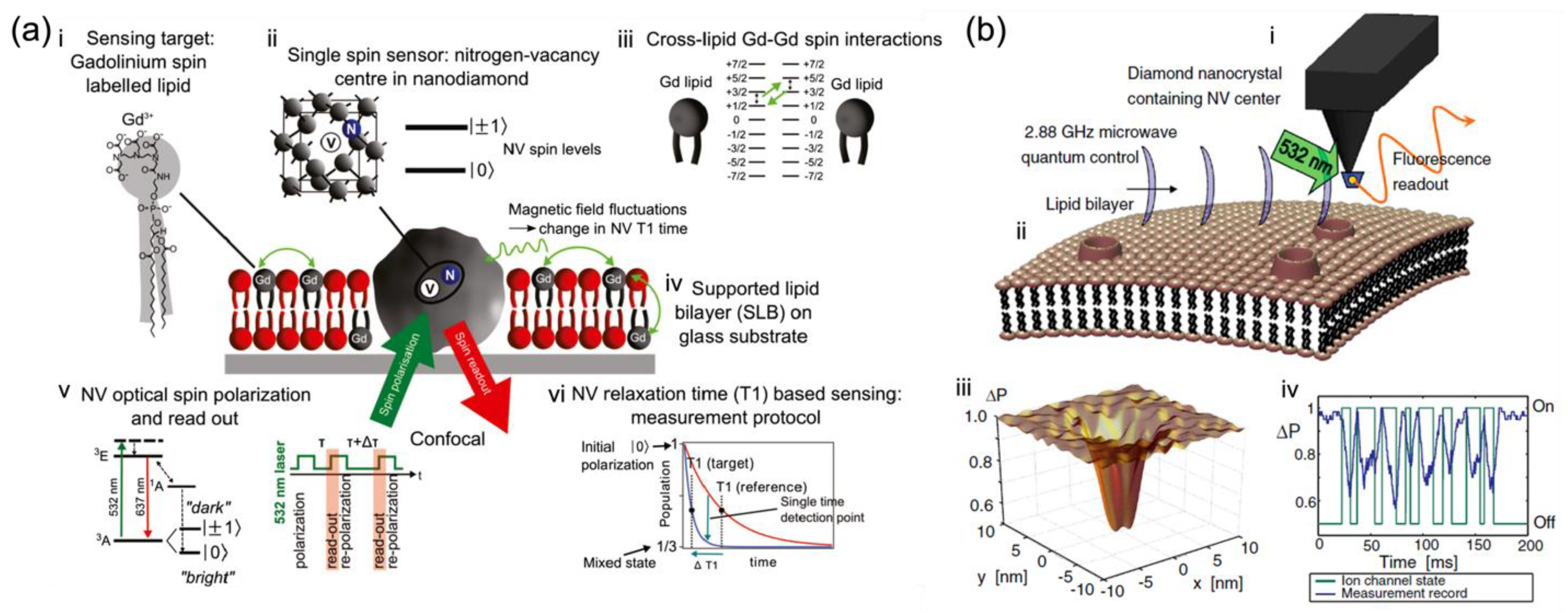 Membranes 12 00957 g004 Membranes 12 00957 g004
