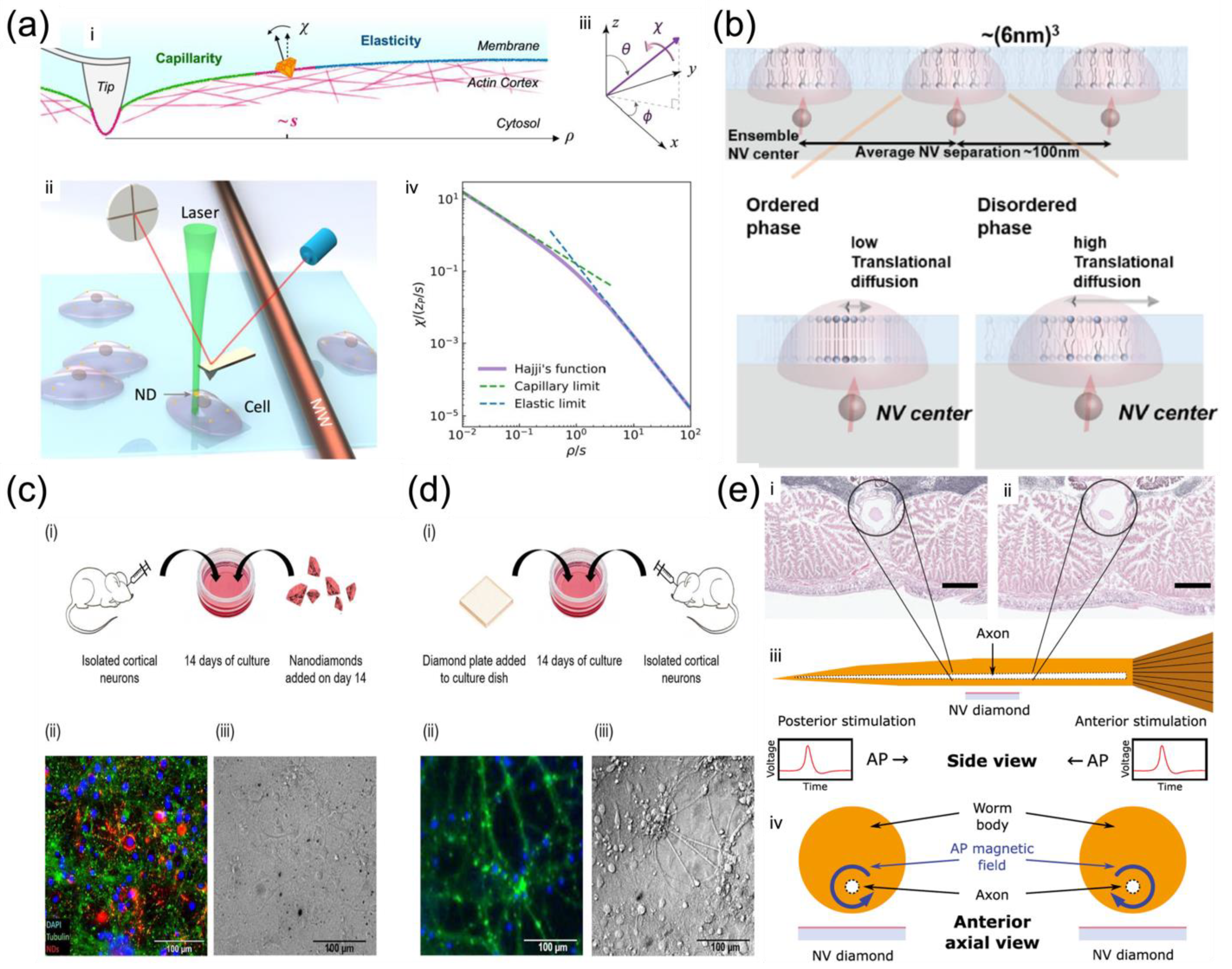 Membranes 12 00957 g005 Membranes 12 00957 g005