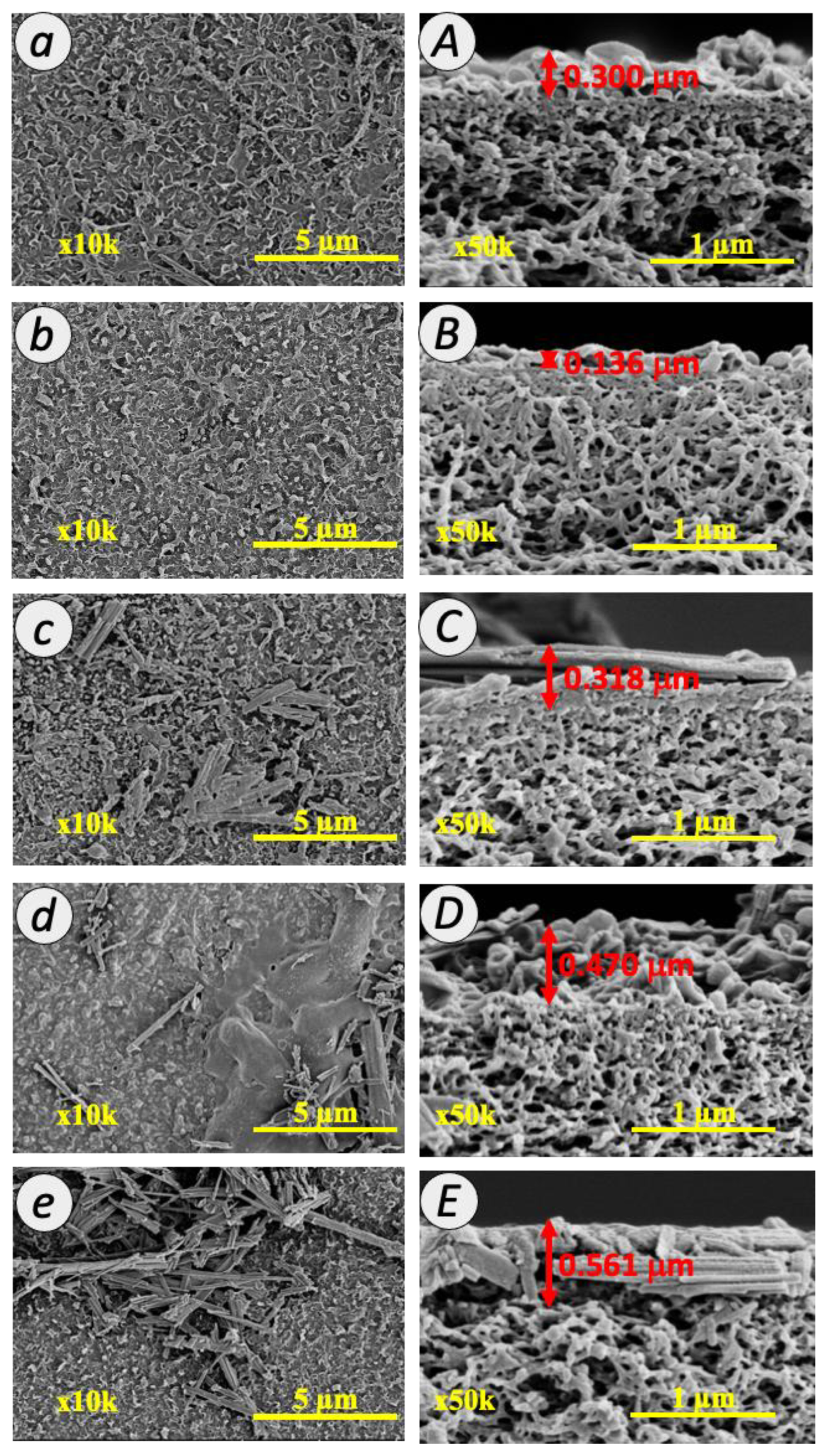 Membranes 12 00958 g004