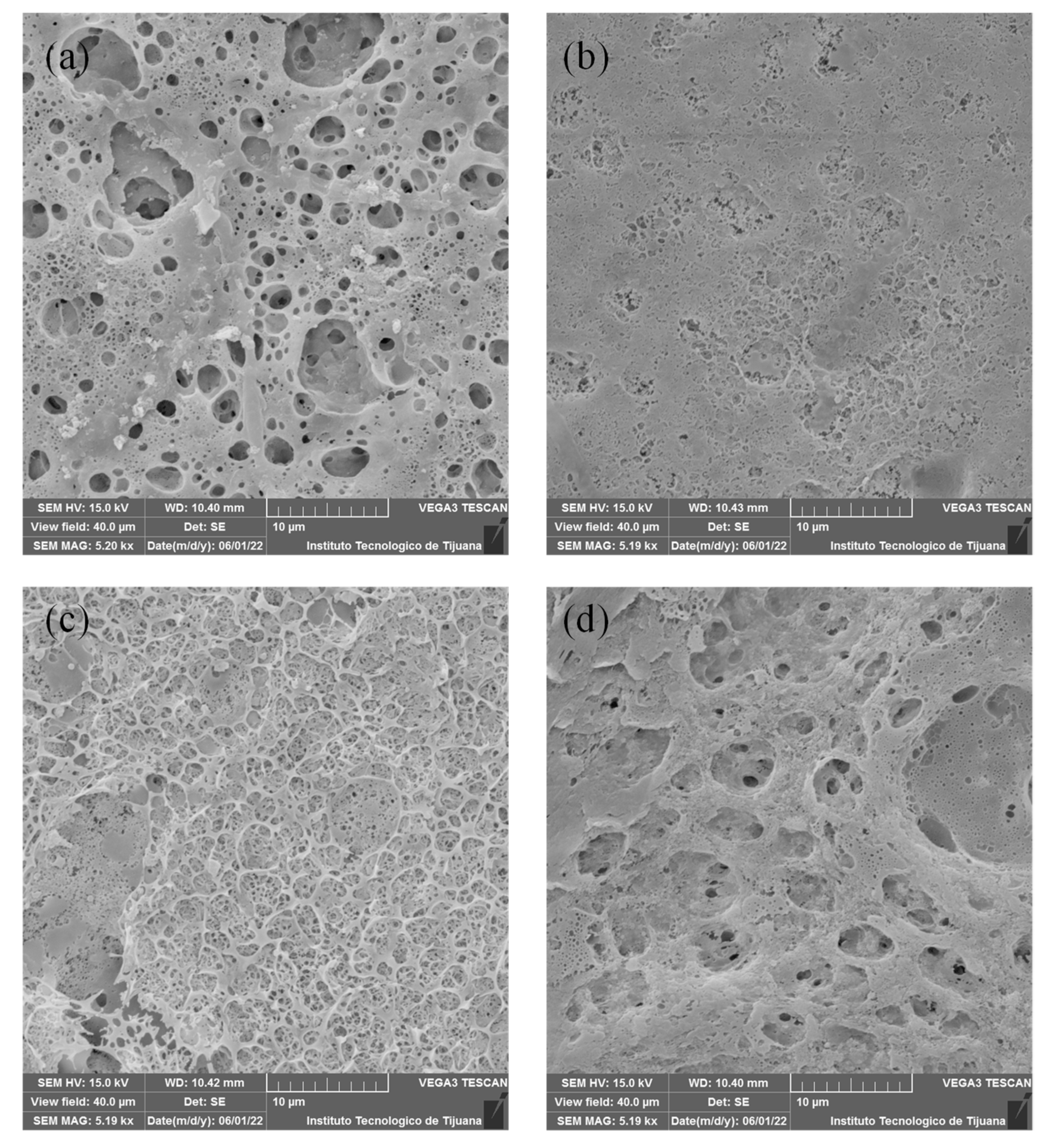 Membranes 12 00959 g003