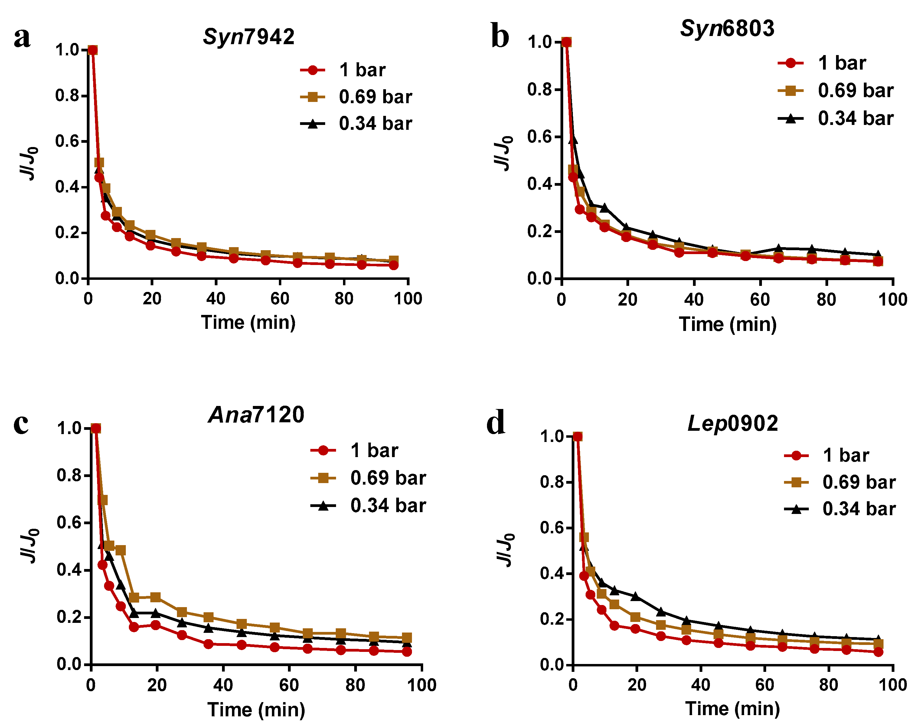 Membranes 12 00963 g002 Membranes 12 00963 g002