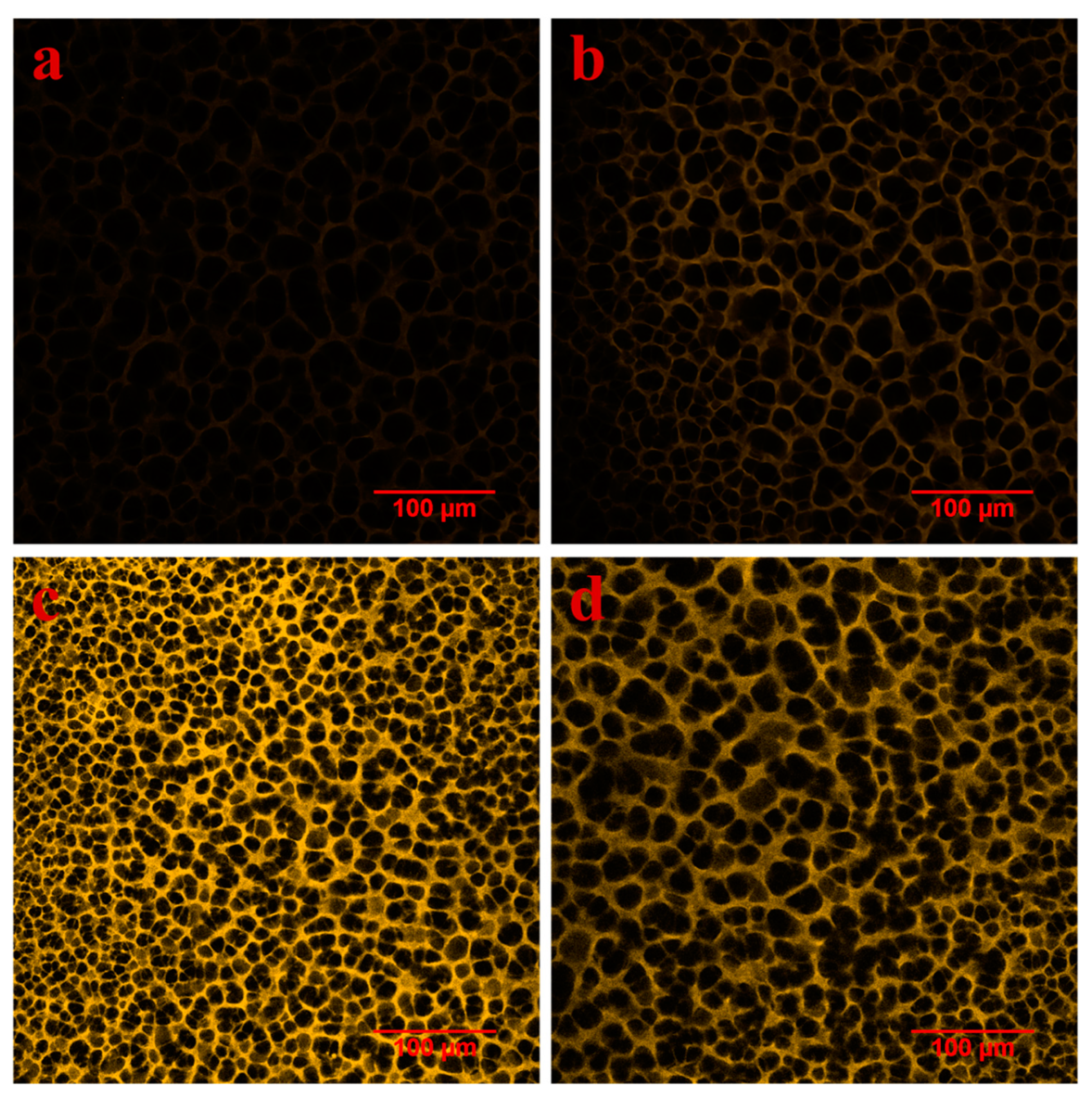 Membranes 12 00963 g005 Membranes 12 00963 g005