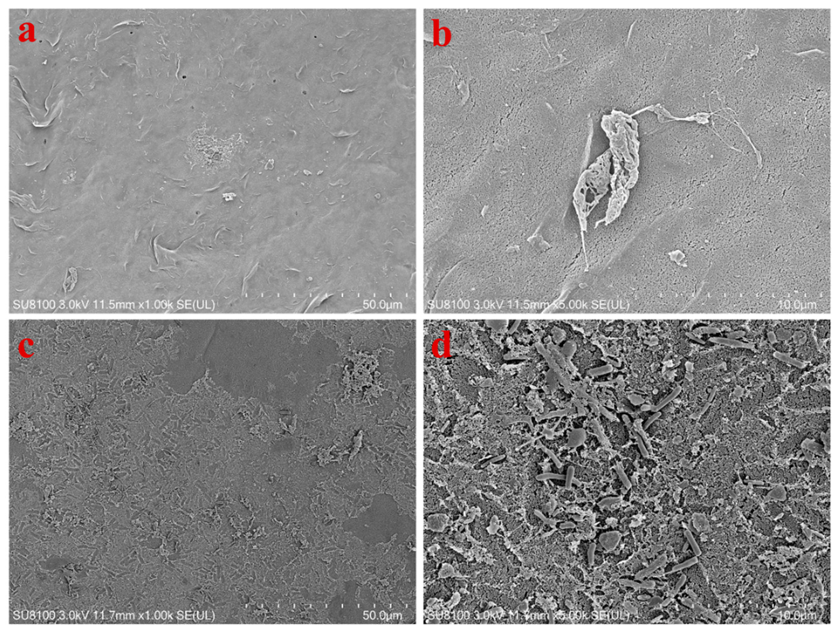 Membranes 12 00963 g006 Membranes 12 00963 g006