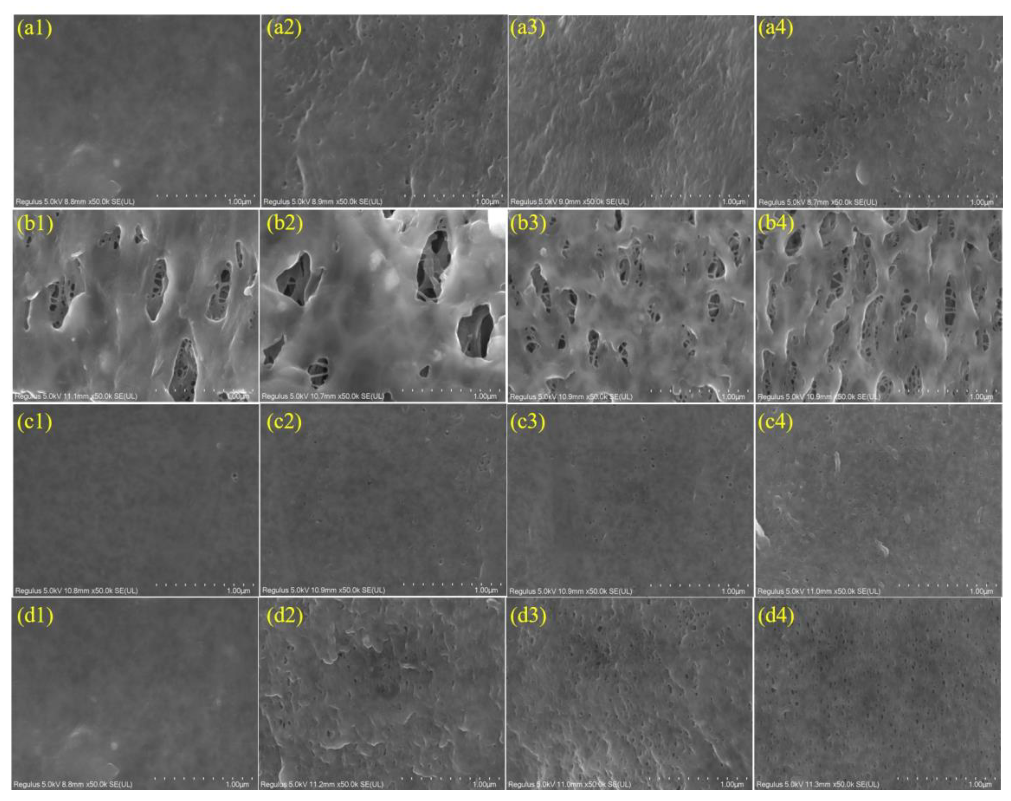 Membranes 12 00965 g001