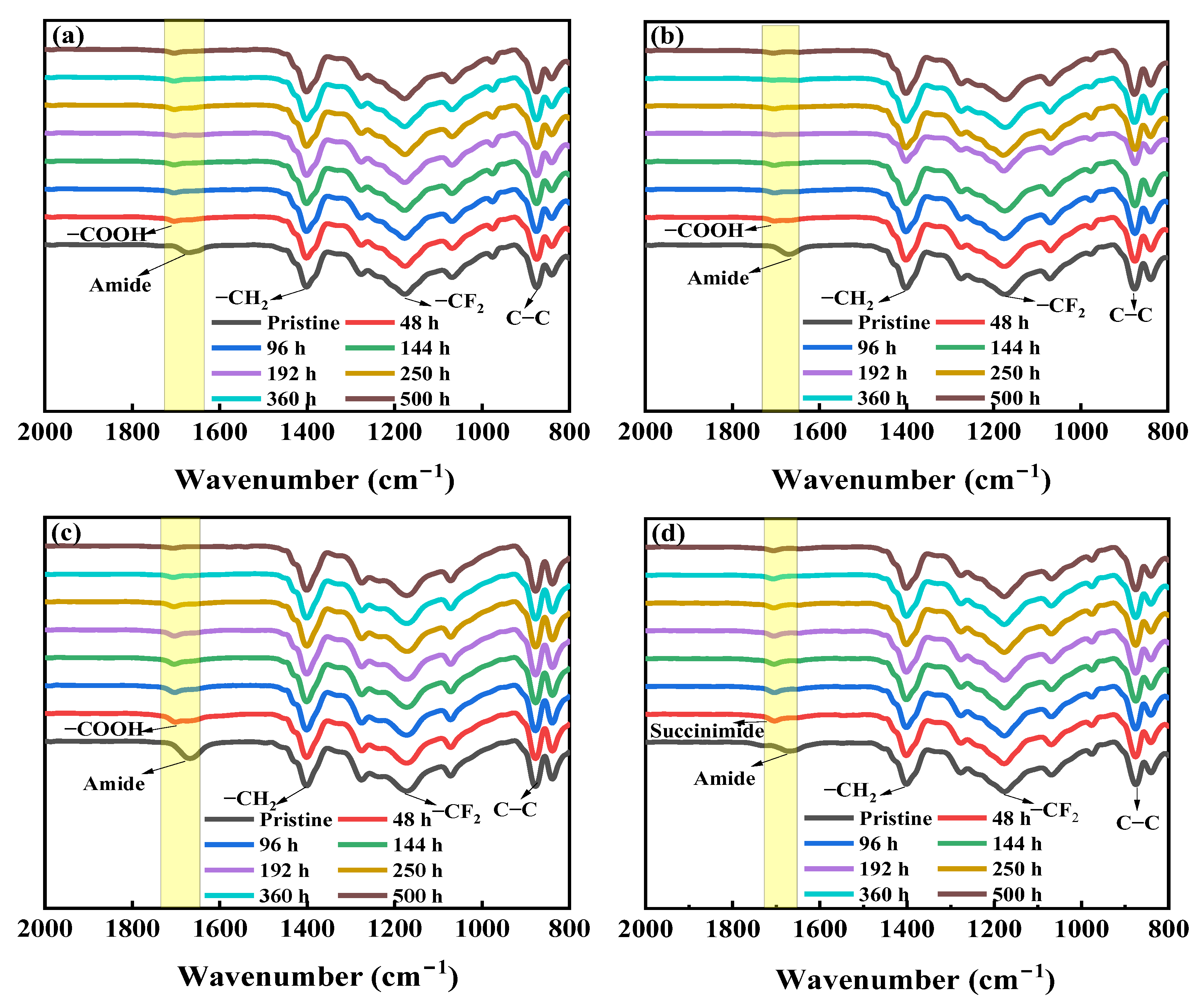Membranes 12 00965 g002