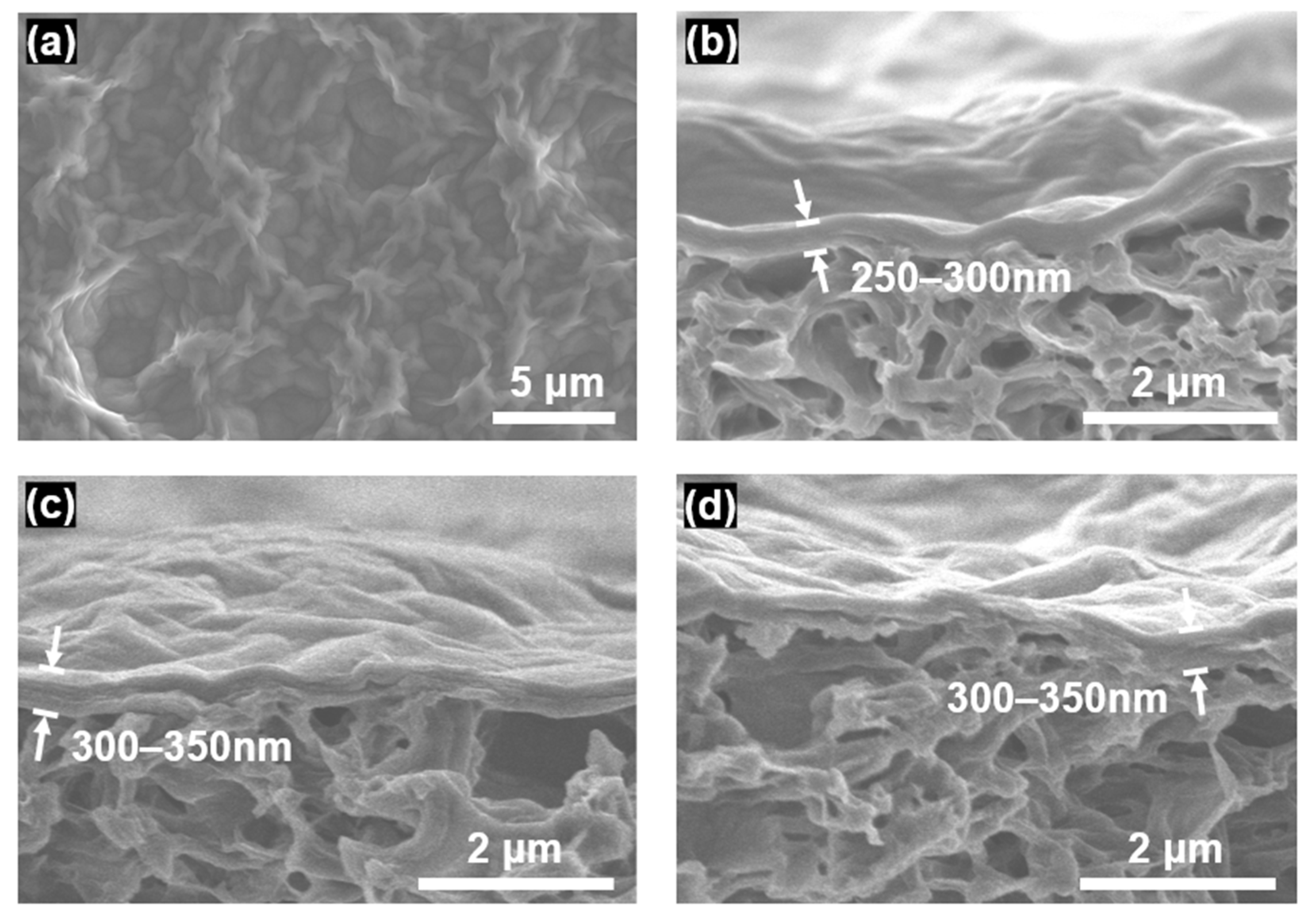 Membranes 12 00966 g001