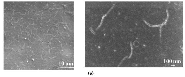 Membranes 12 00967 g003b Membranes 12 00967 g003b