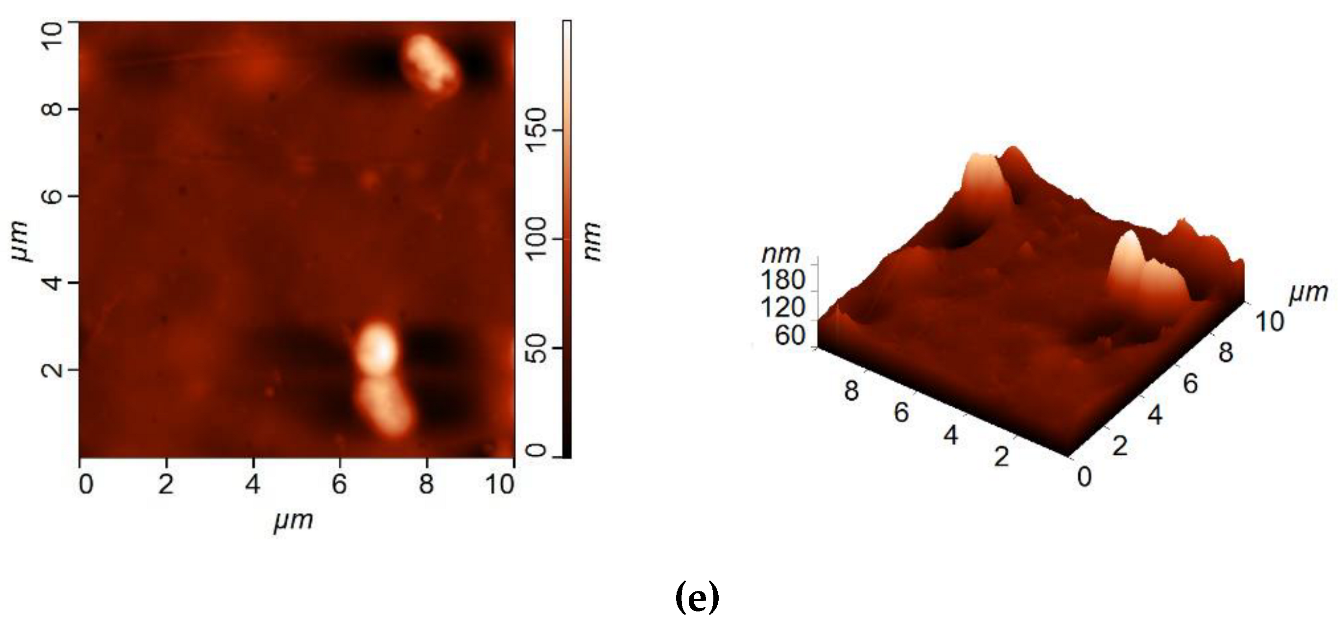 Membranes 12 00967 g005b Membranes 12 00967 g005b