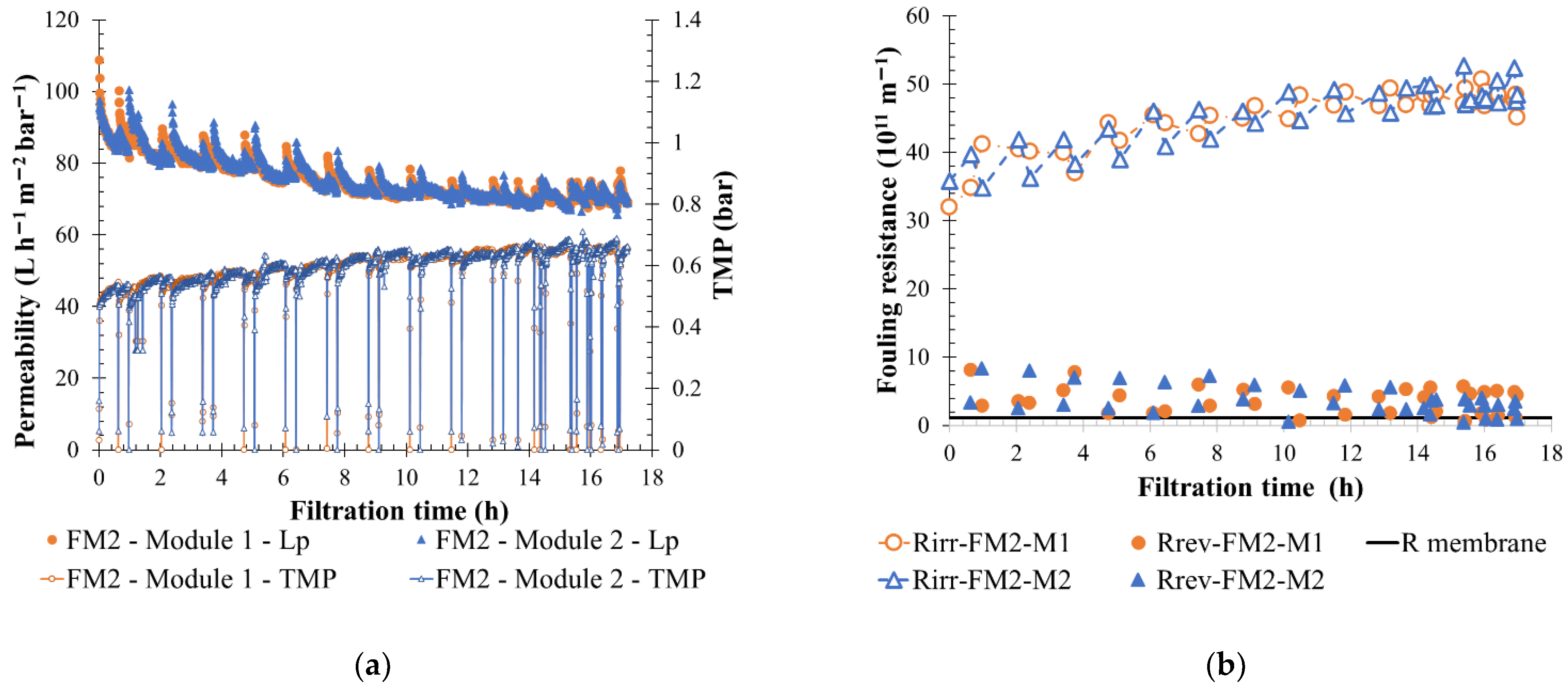 Membranes 12 00968 g016