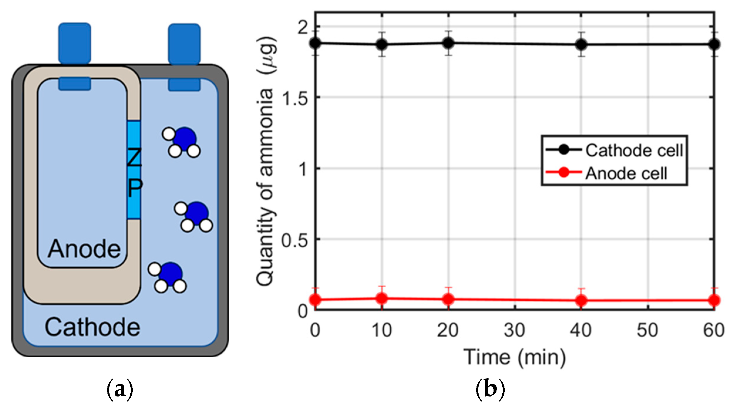 Membranes 12 00969 g004 Membranes 12 00969 g004
