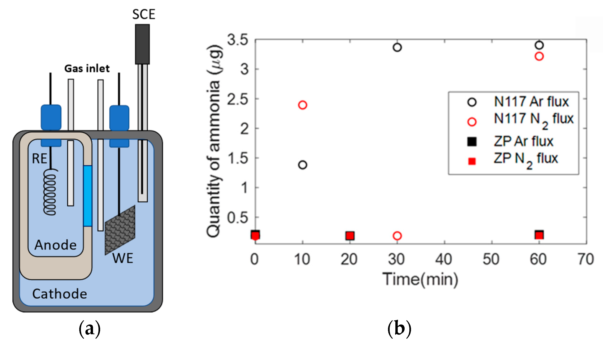 Membranes 12 00969 g005 Membranes 12 00969 g005
