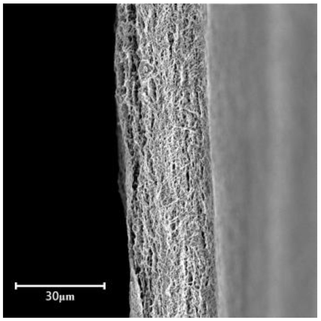 Membranes 12 00974 g003 Membranes 12 00974 g003