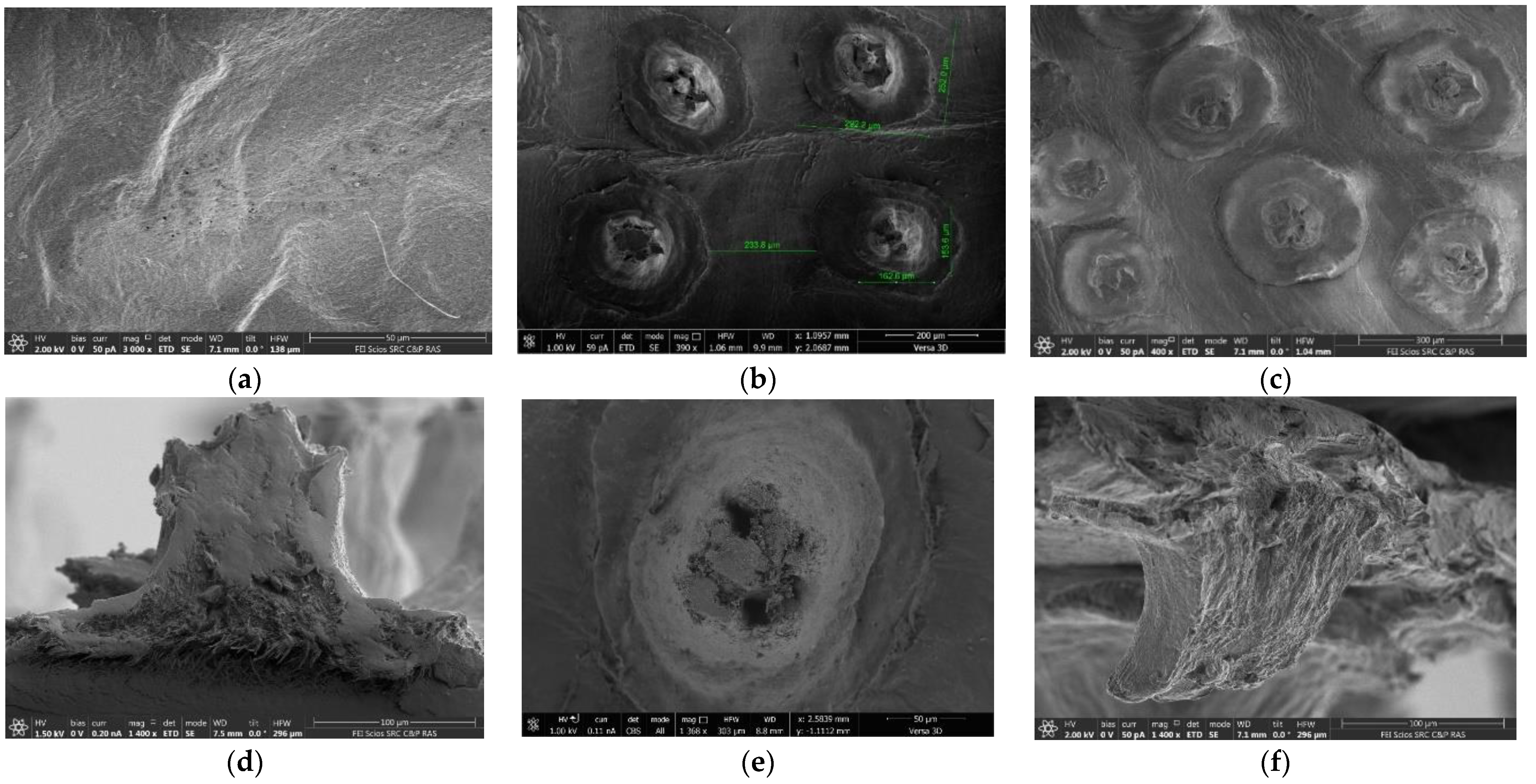 Membranes 12 00975 g010