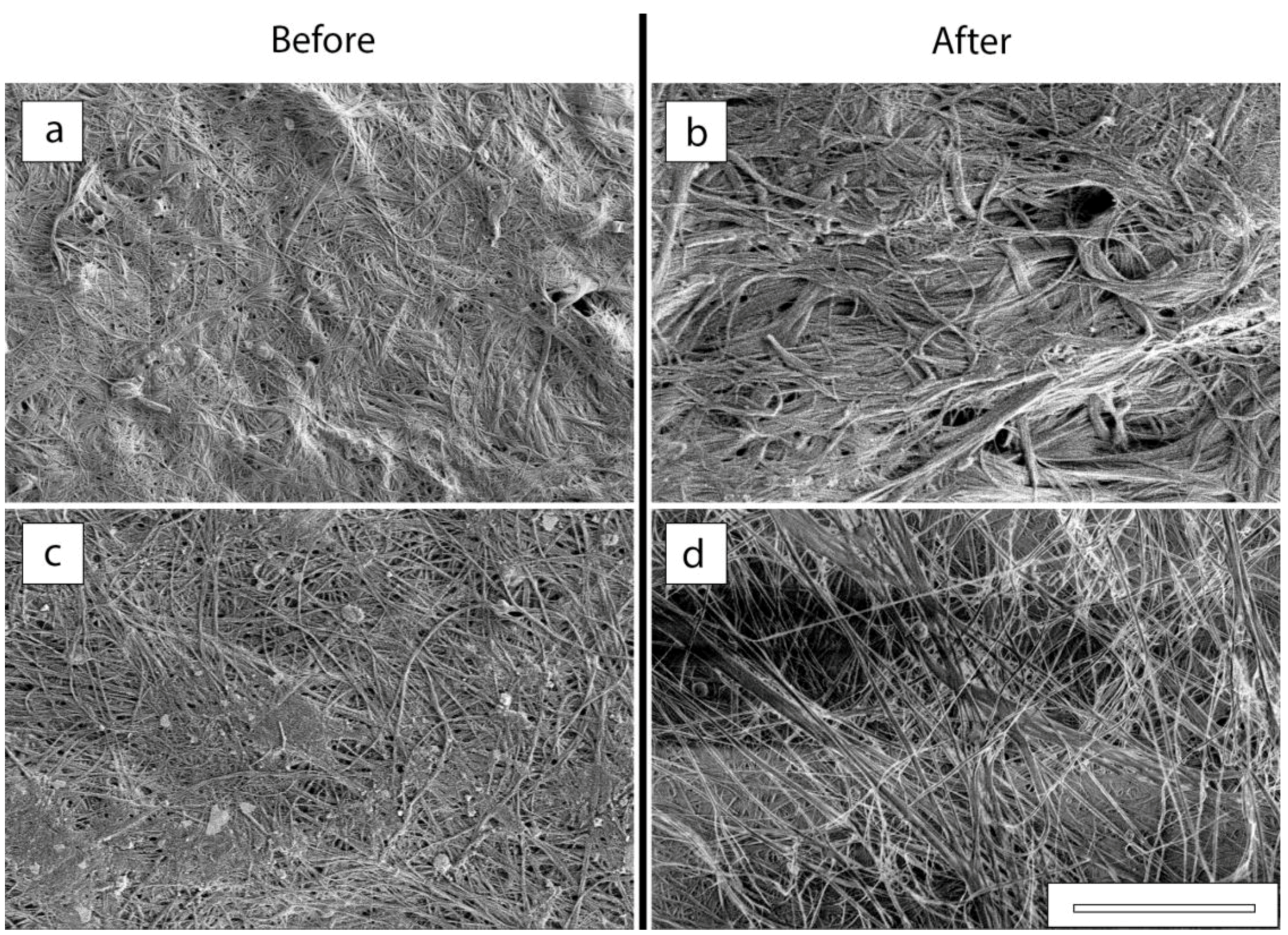 Membranes 12 00975 g011