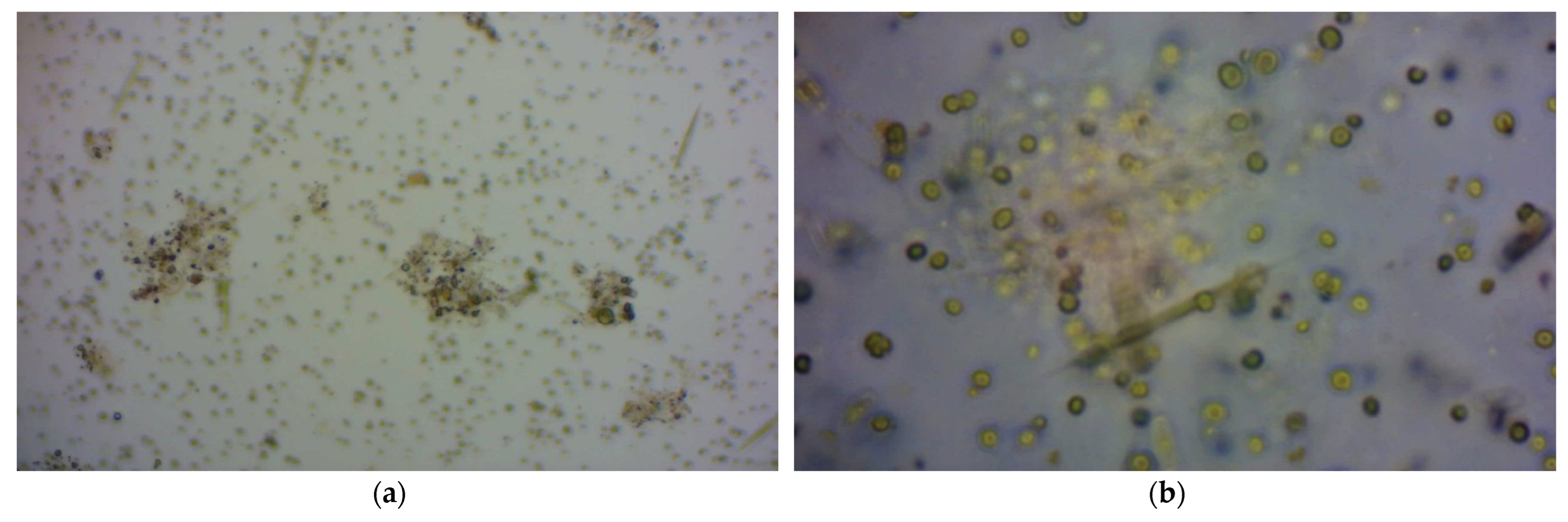 Membranes 12 00982 g004