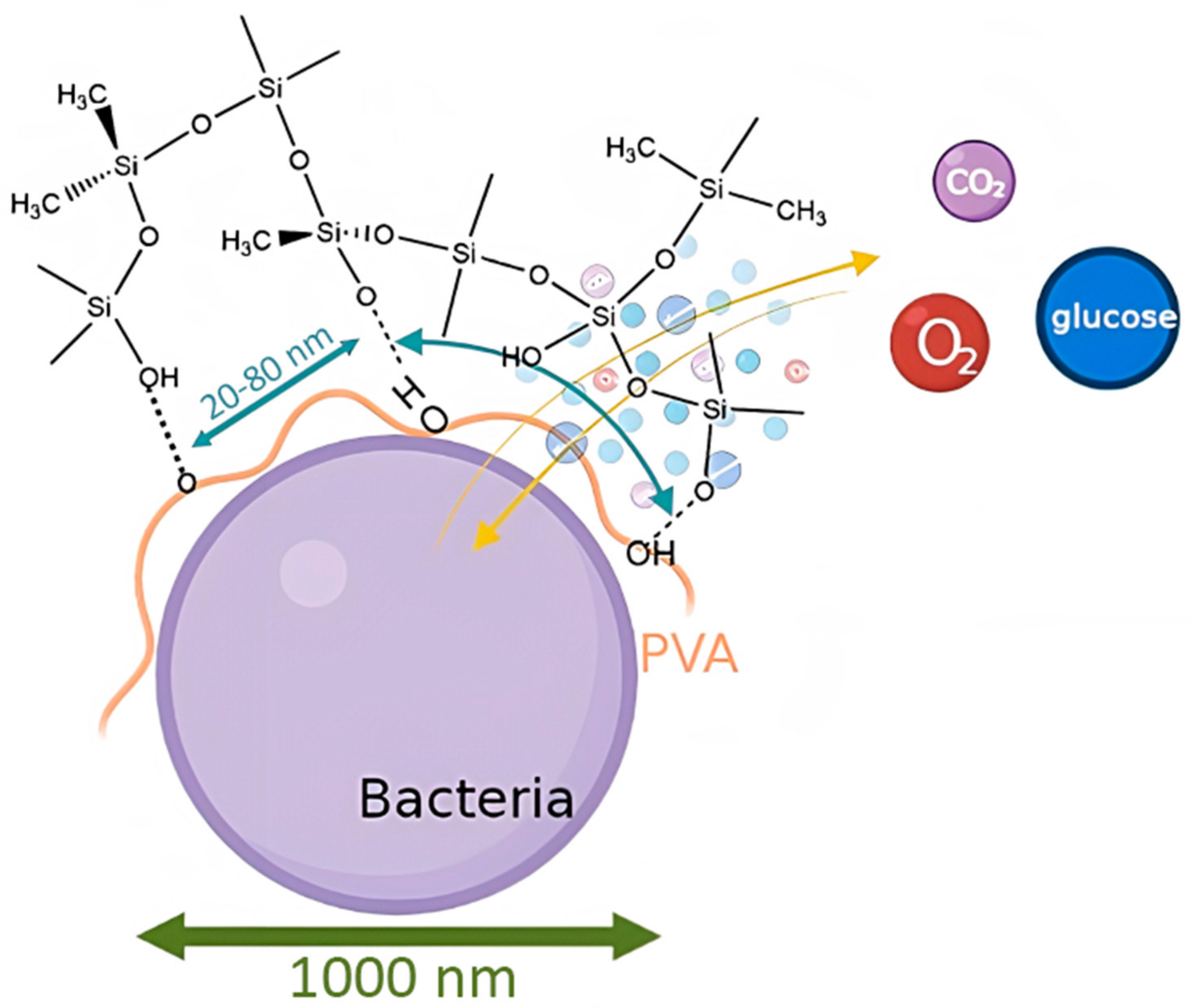 Membranes 12 00983 g005 Membranes 12 00983 g005
