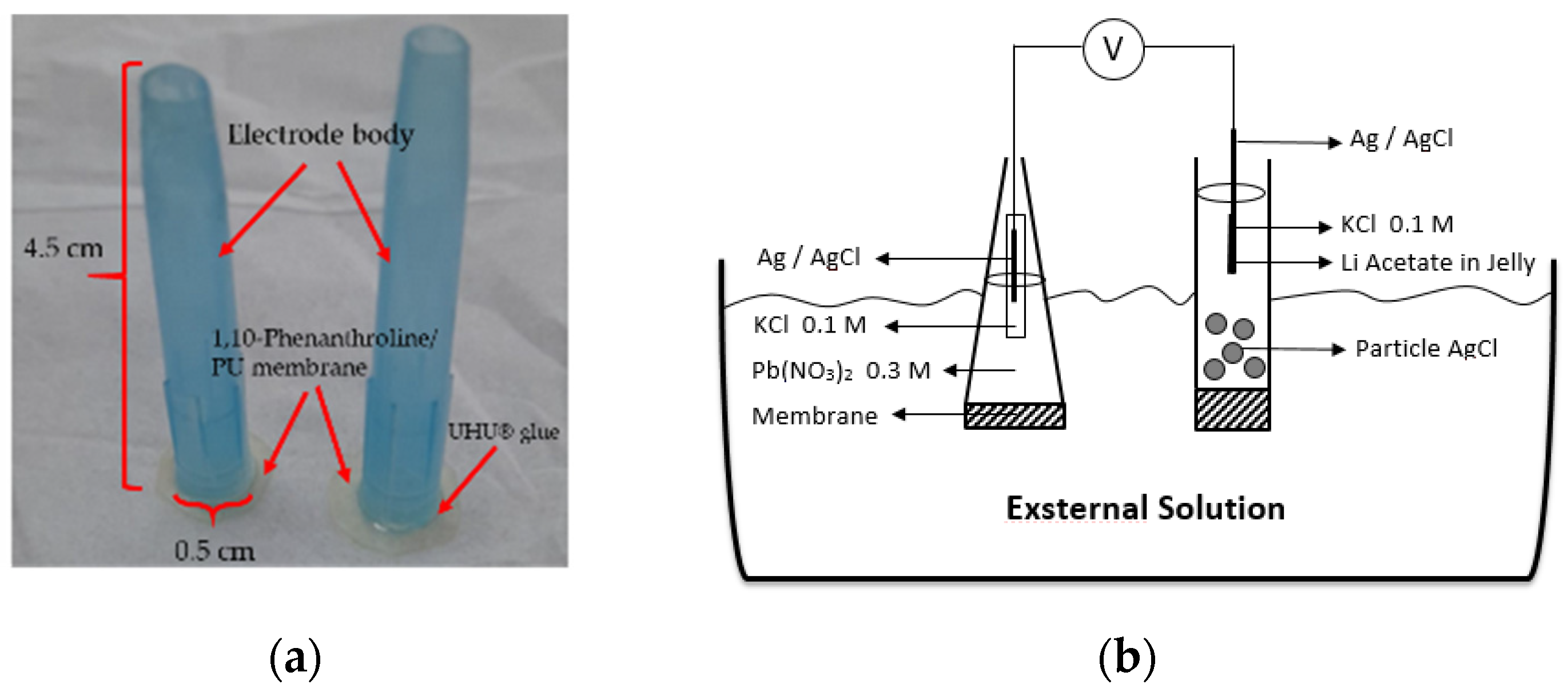 Membranes 12 00987 g001