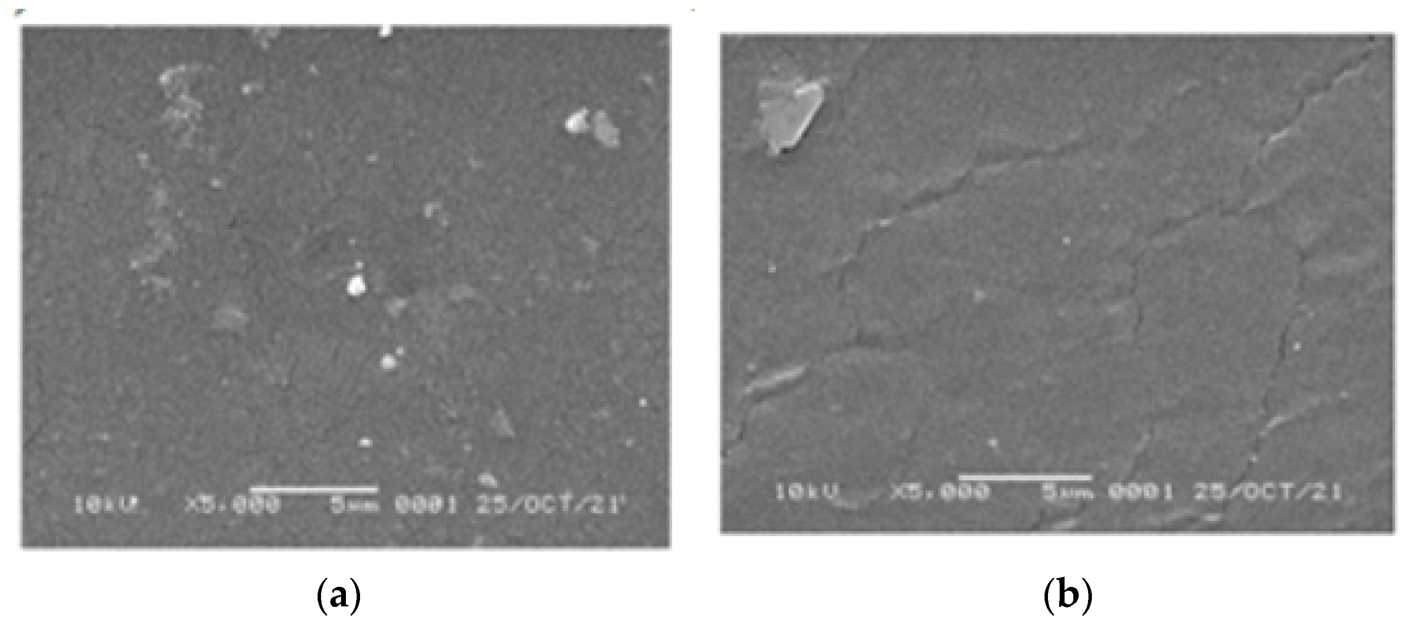 Membranes 12 00987 g011