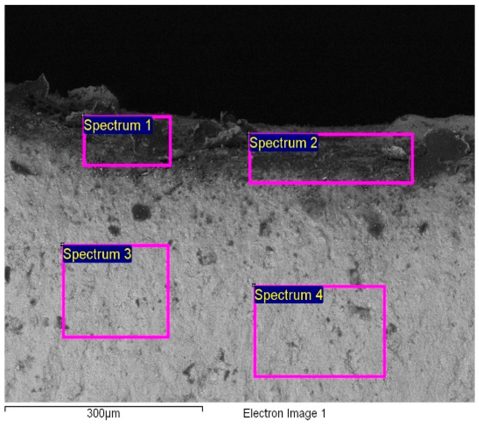 Membranes 12 00993 g005