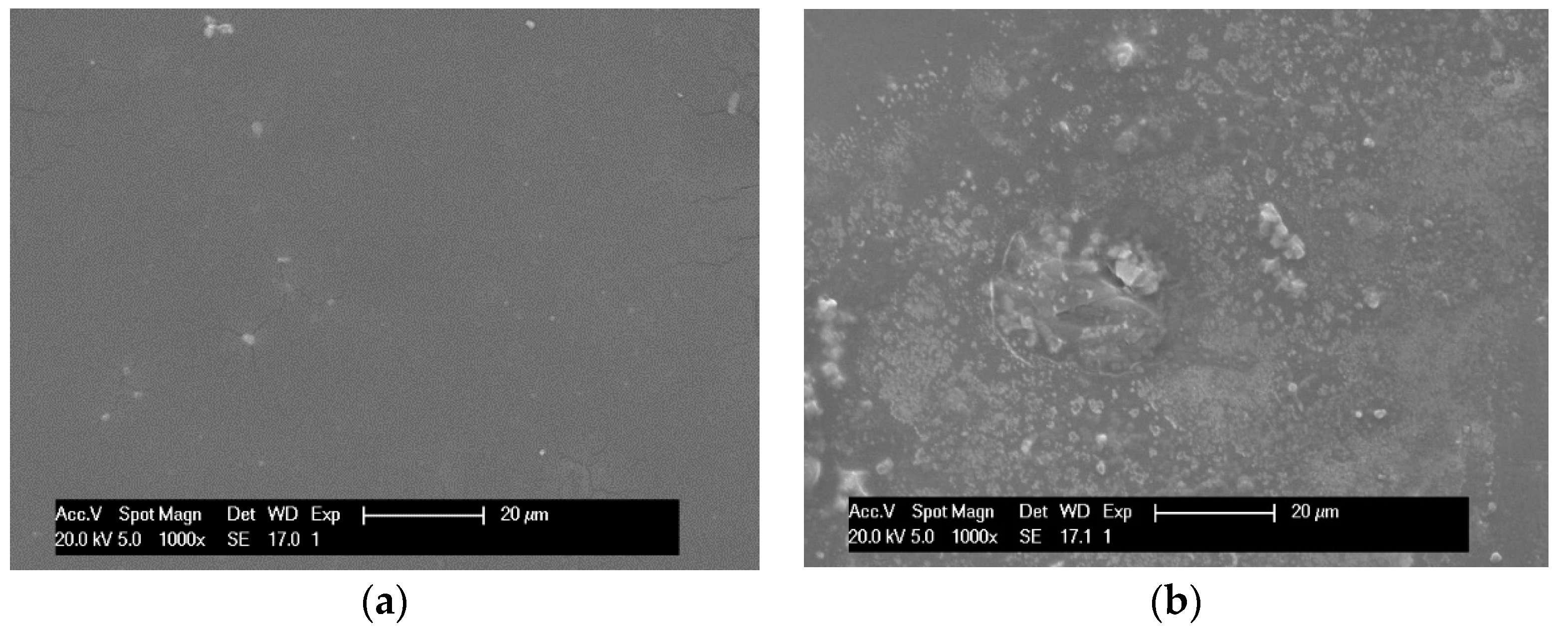 Membranes 12 00993 g008