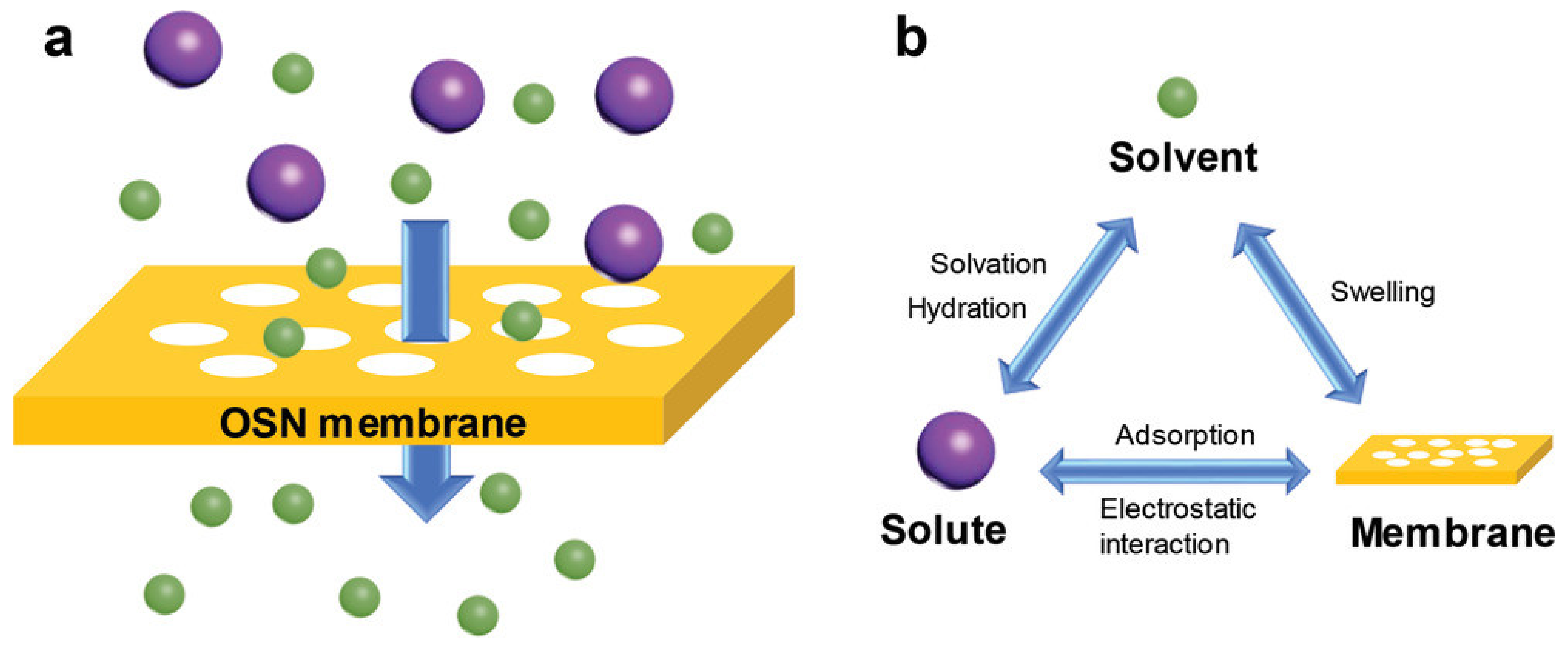 Membranes 12 00995 g002 Membranes 12 00995 g002