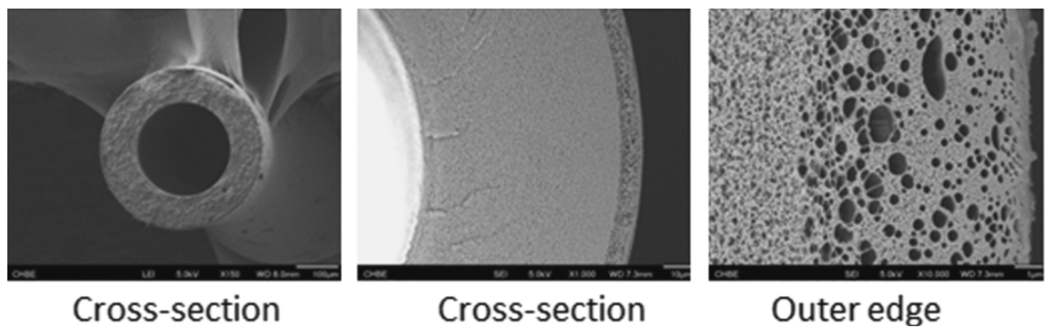 Membranes 12 00995 g009 Membranes 12 00995 g009