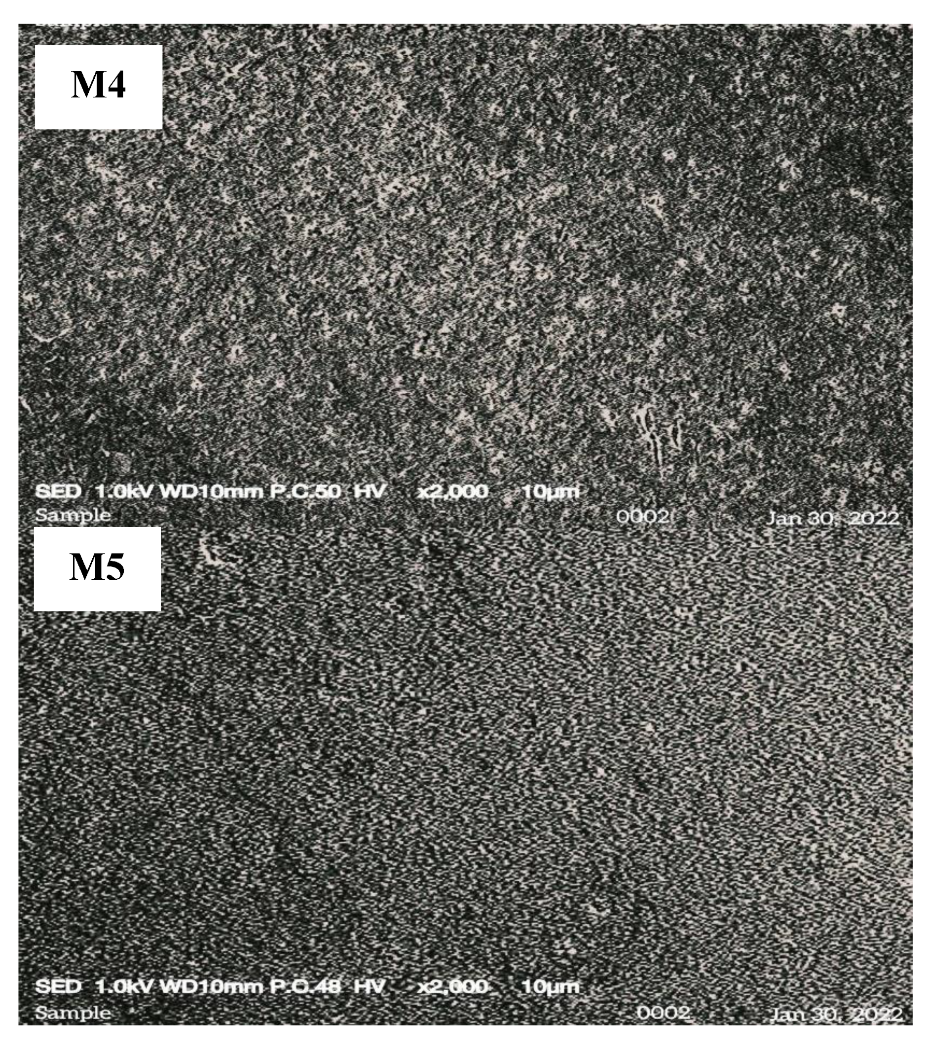 Membranes 12 00996 g002b Membranes 12 00996 g002b