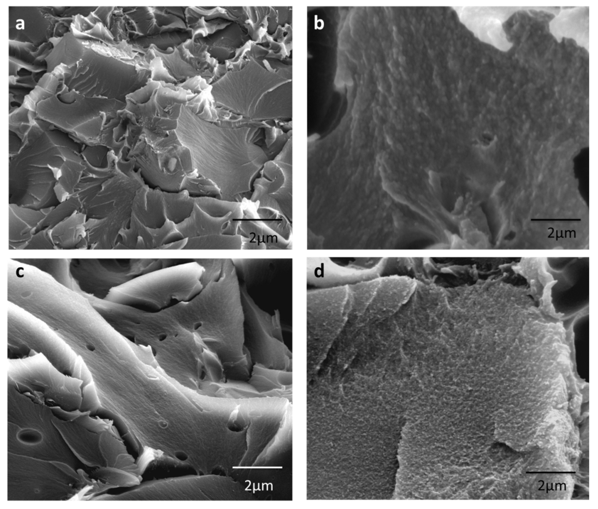 Membranes 12 00998 g007 Membranes 12 00998 g007