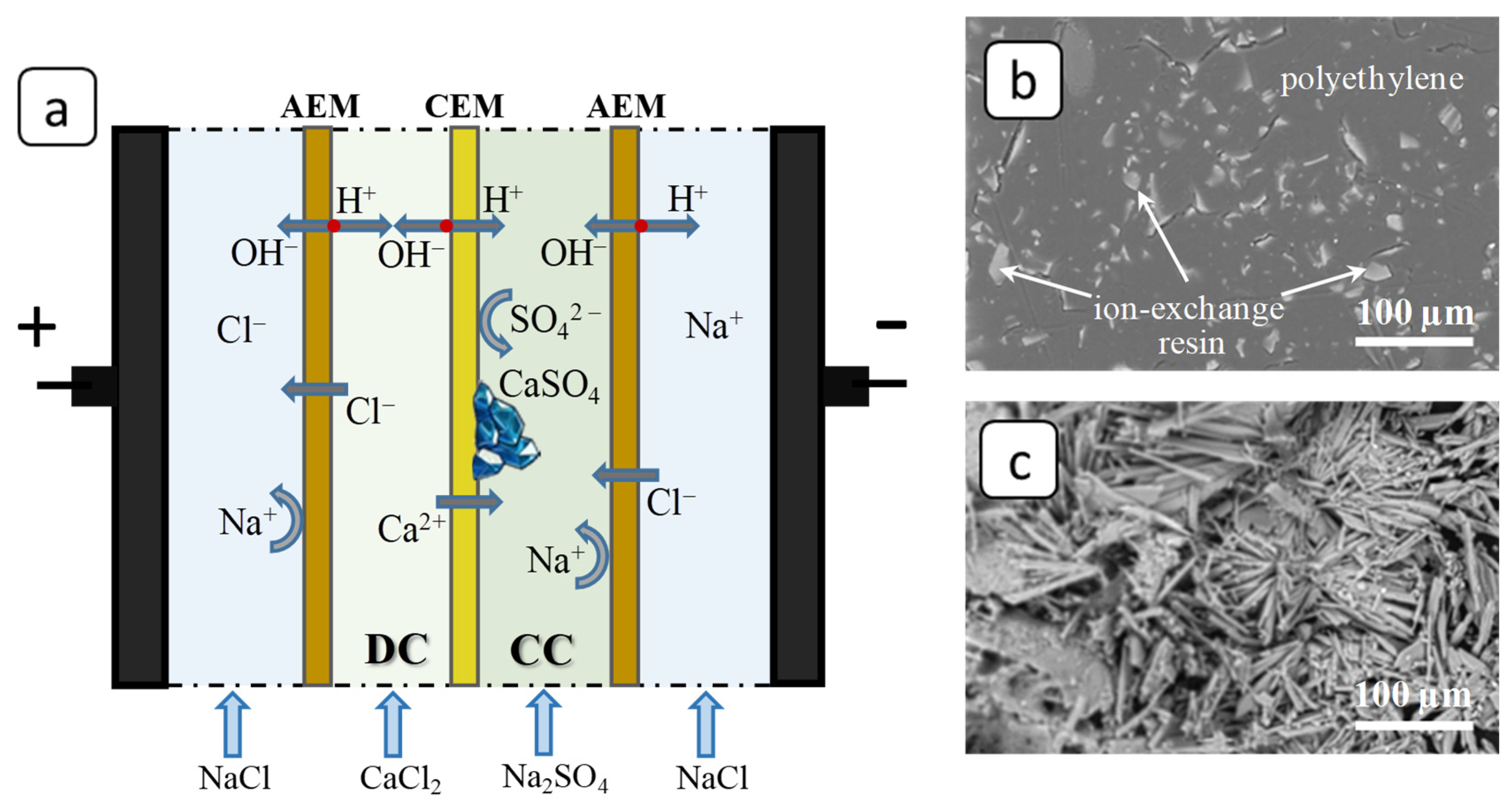 Membranes 12 01002 g003