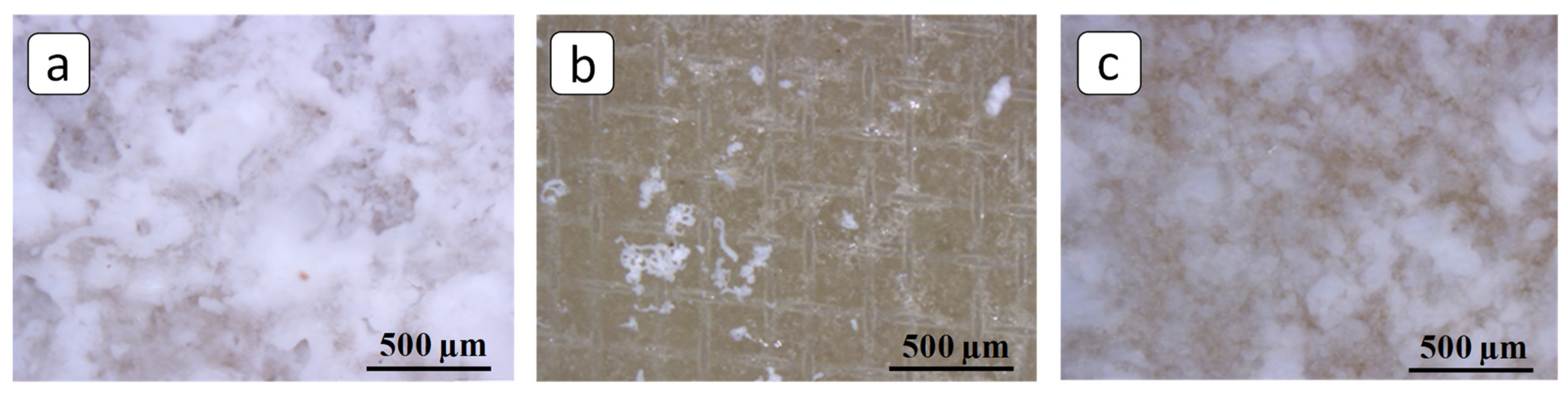 Membranes 12 01002 g005