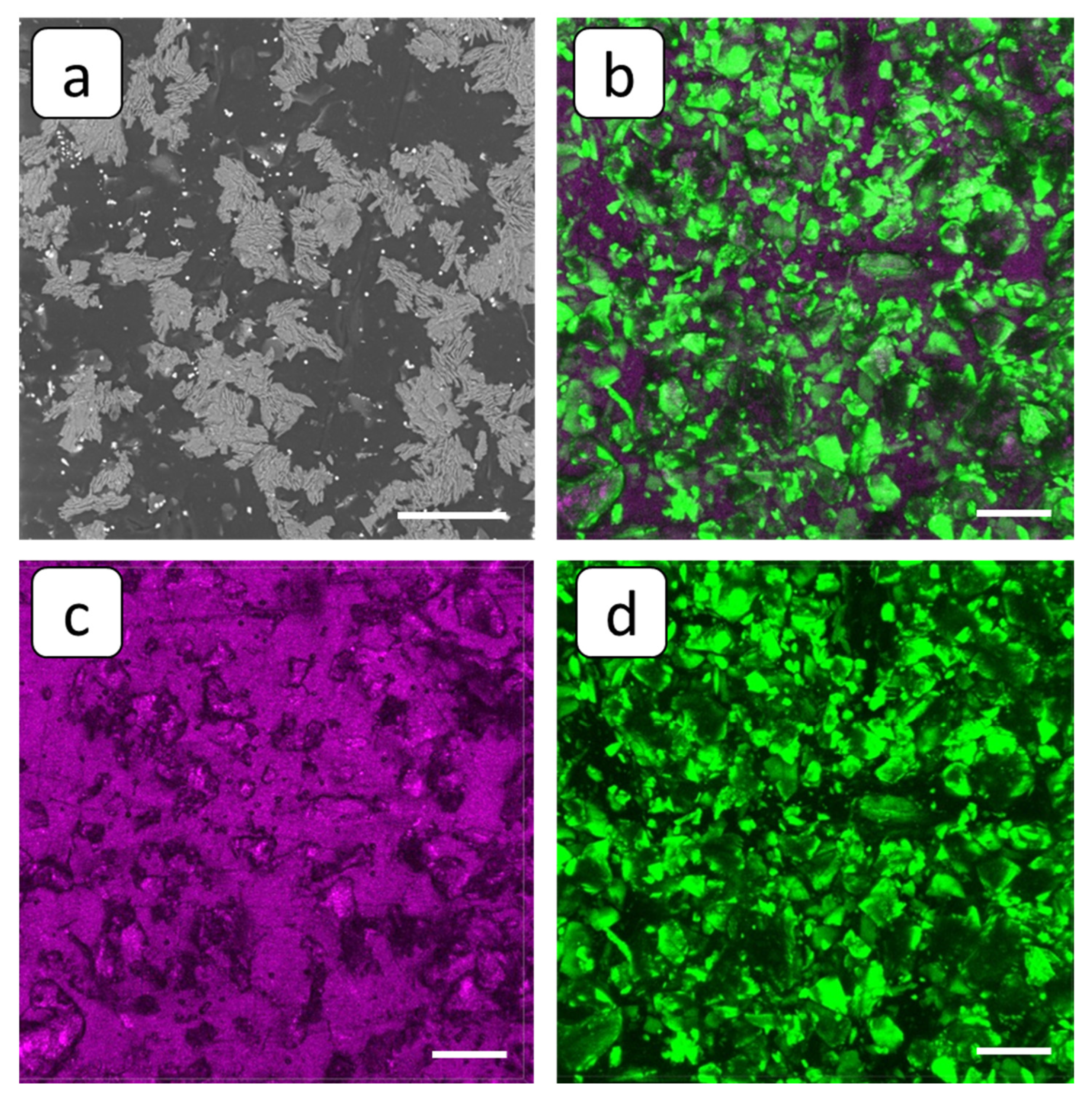 Membranes 12 01002 g008