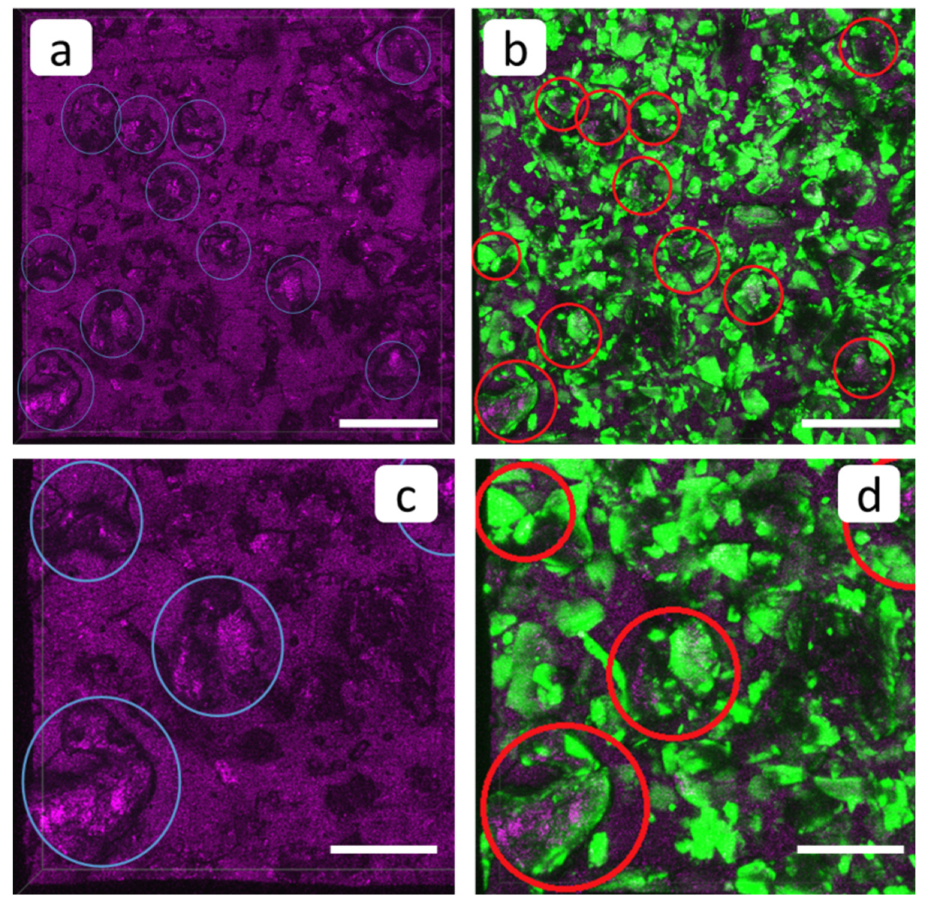 Membranes 12 01002 g009