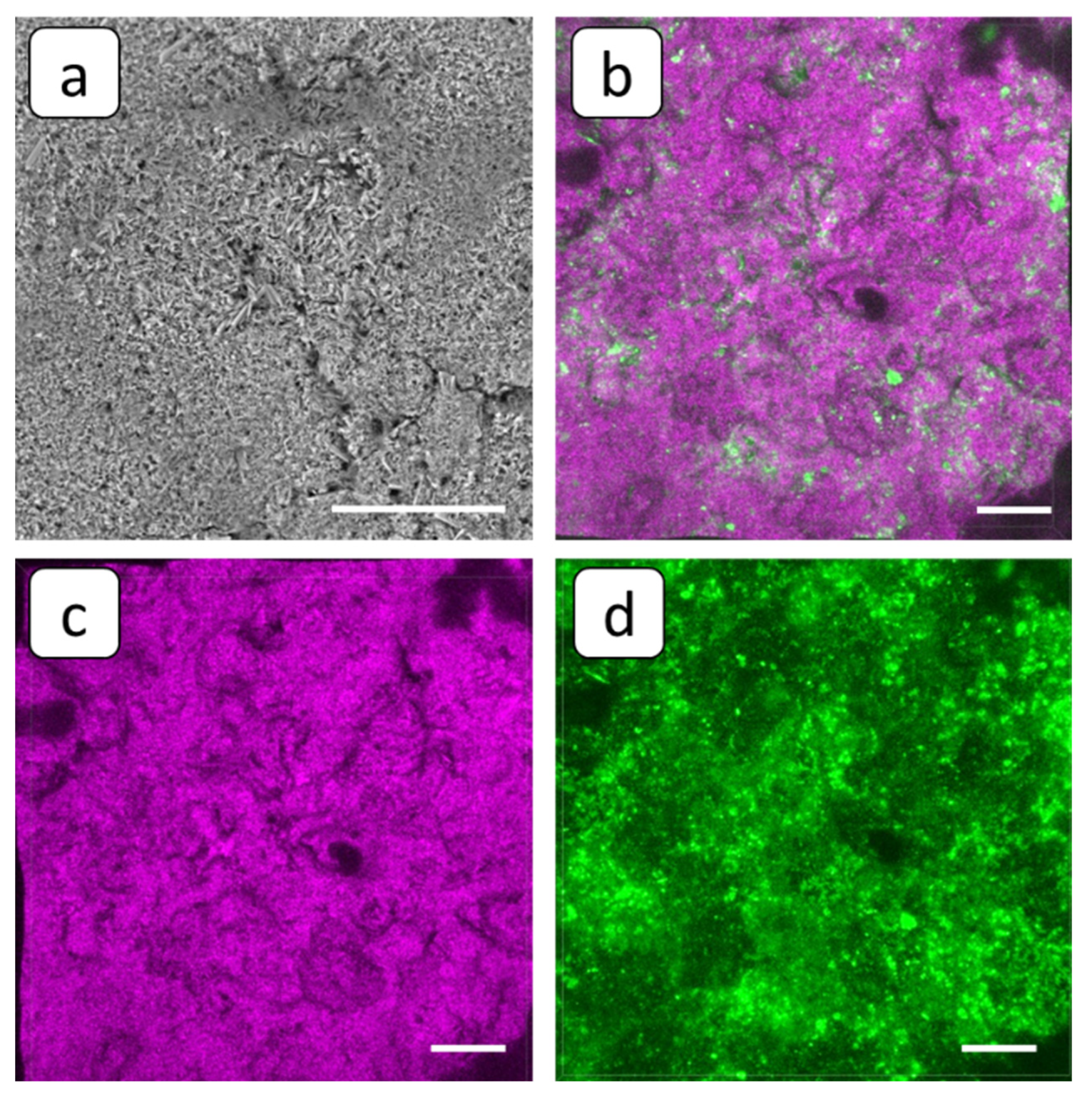 Membranes 12 01002 g010