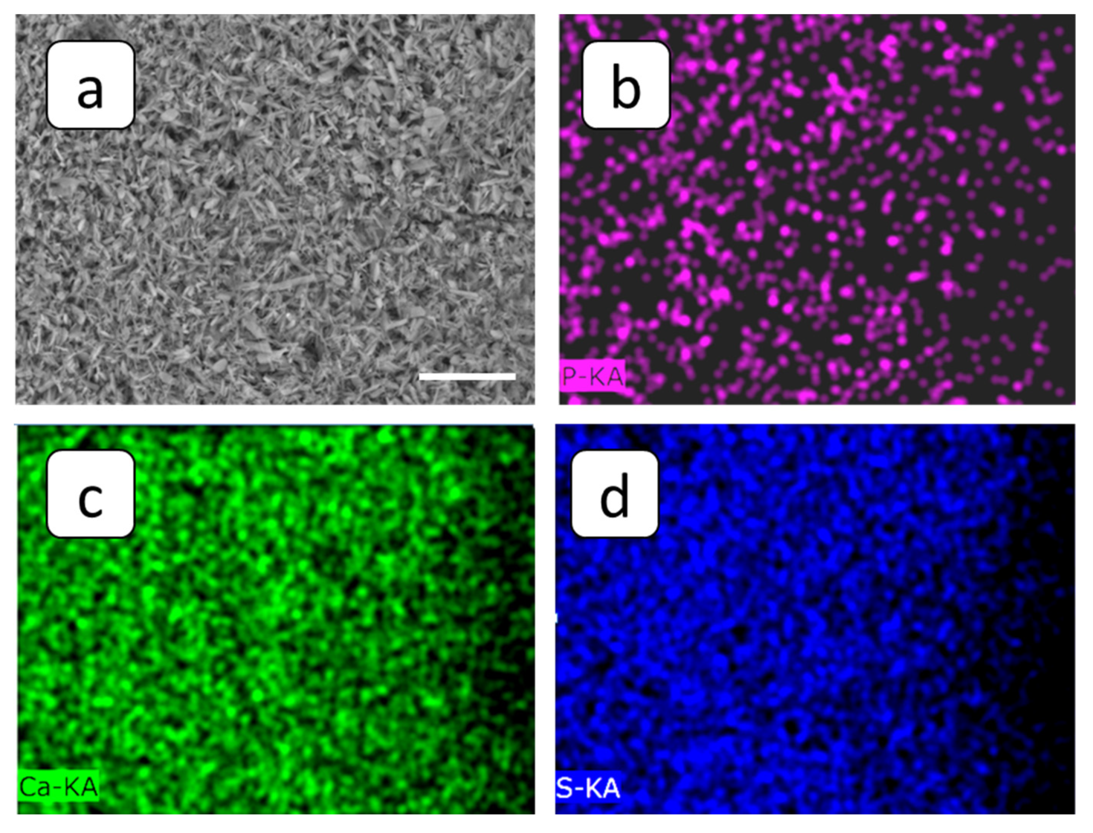 Membranes 12 01002 g011
