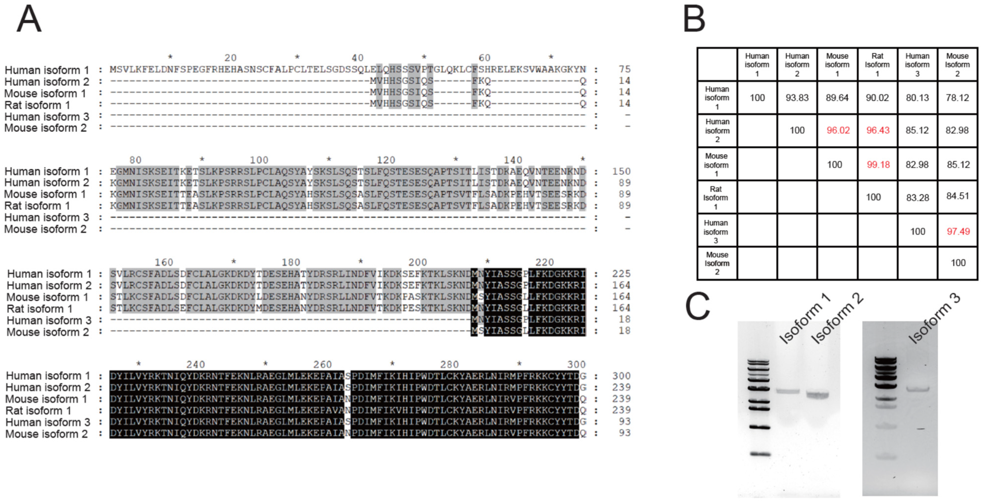 Membranes 12 01005 g001