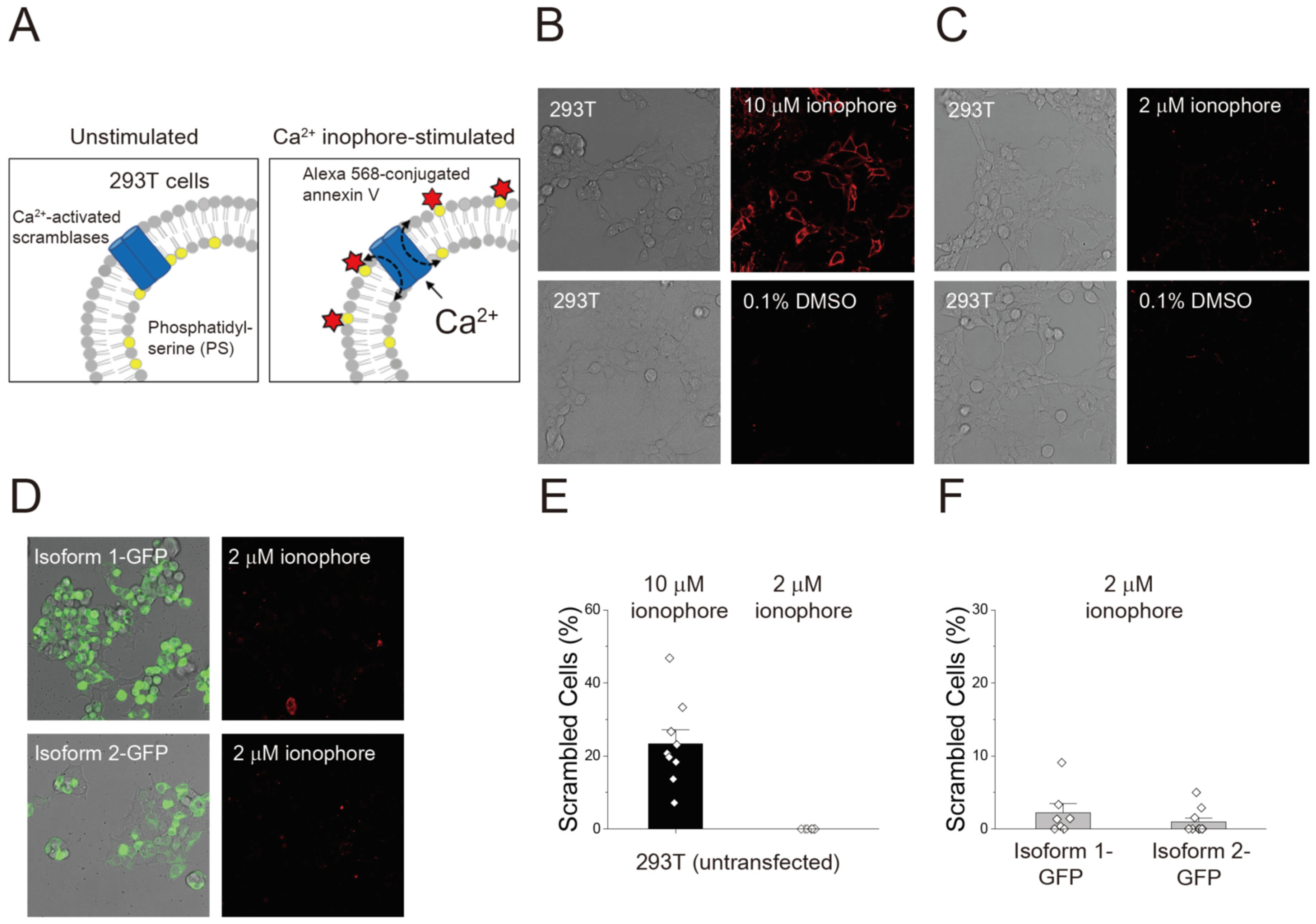 Membranes 12 01005 g002