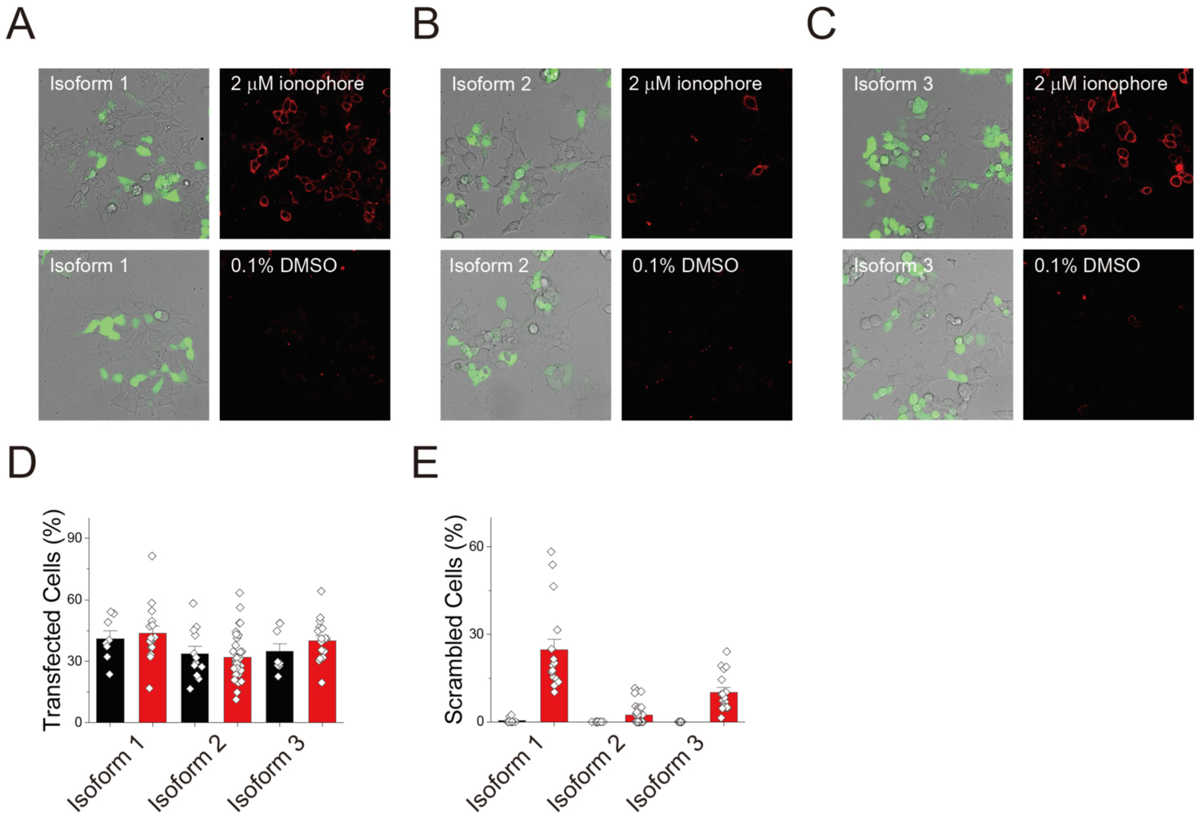 Membranes 12 01005 g003