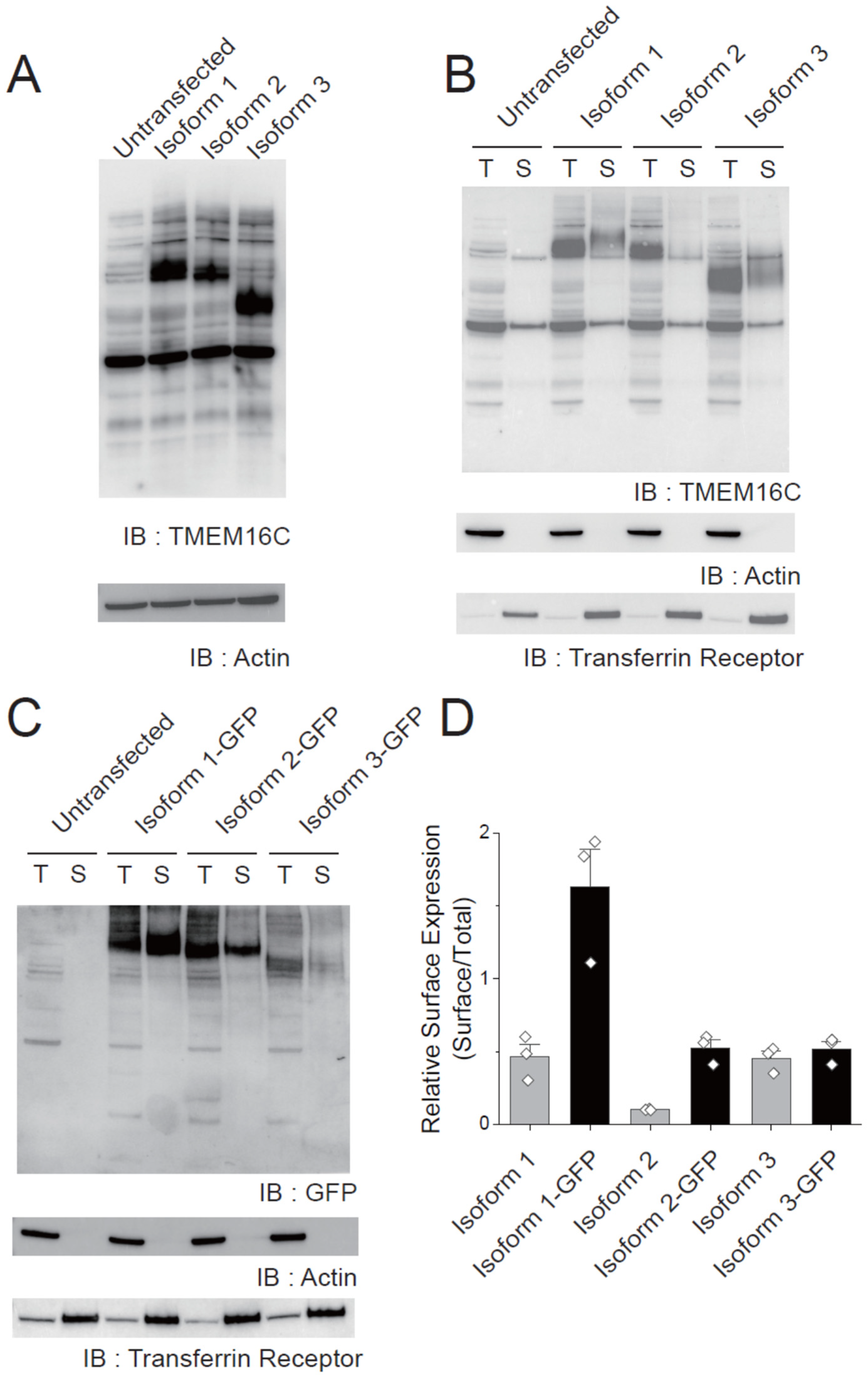 Membranes 12 01005 g004