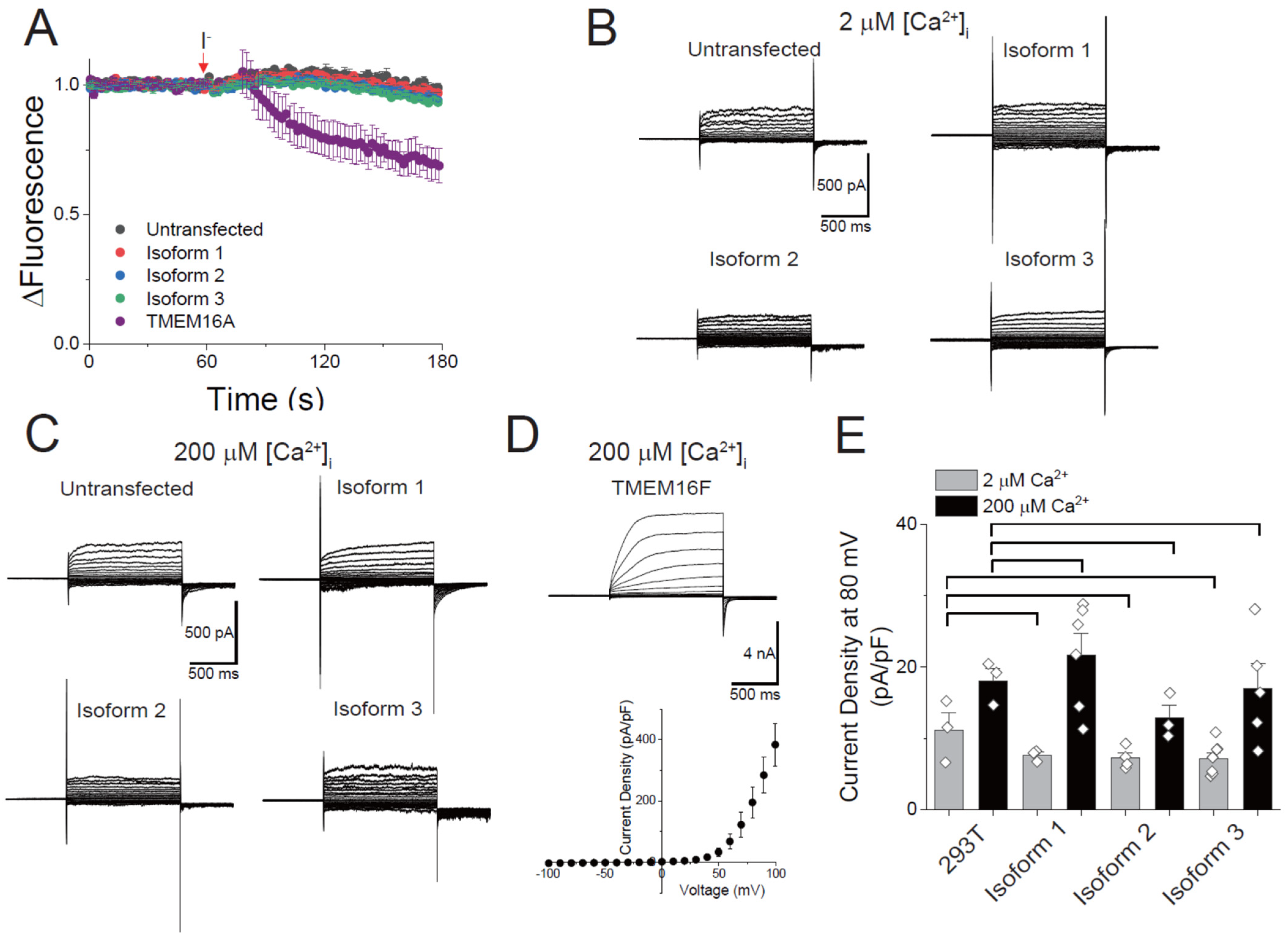 Membranes 12 01005 g005