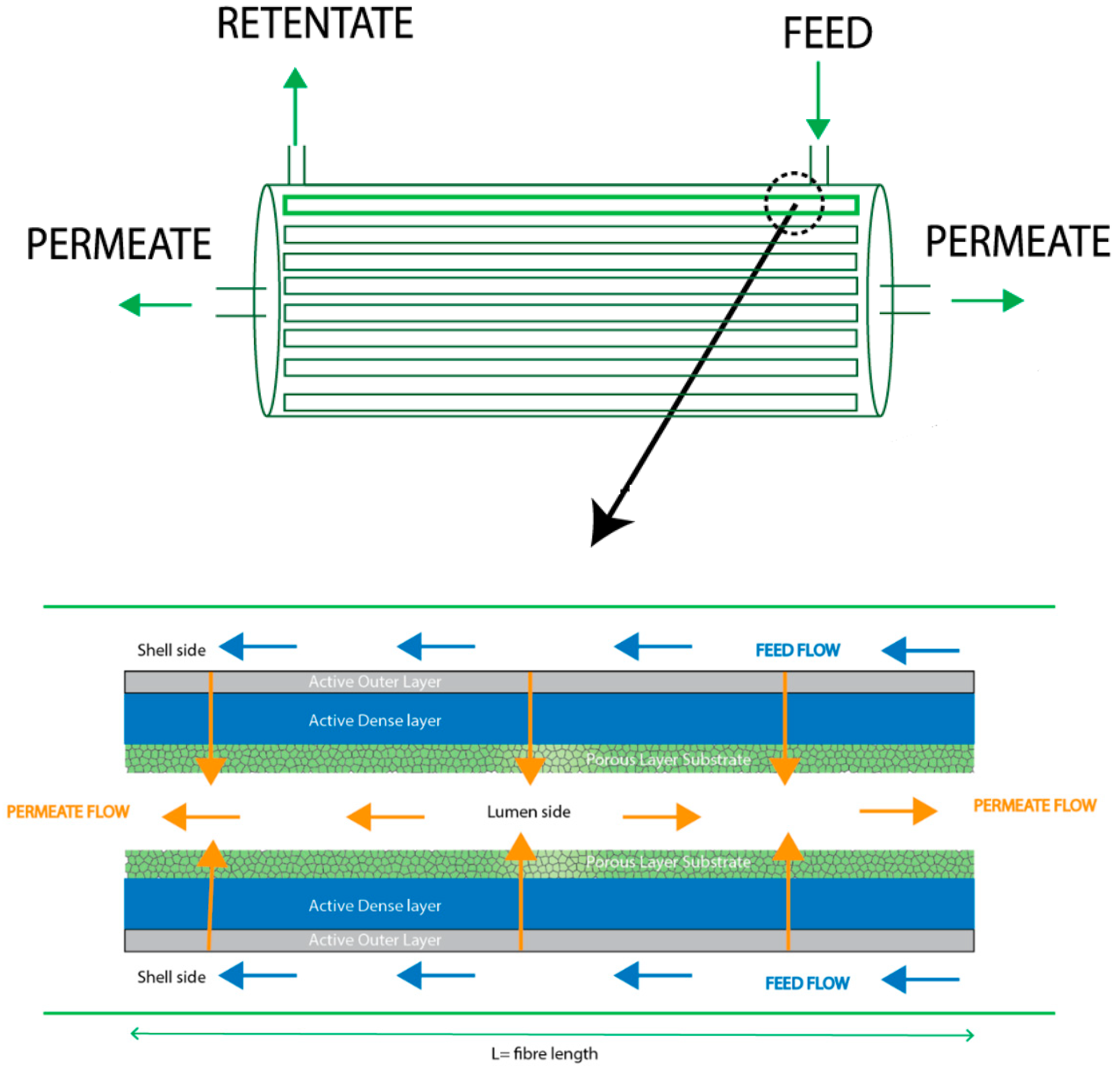 Membranes 12 01007 g001 Membranes 12 01007 g001