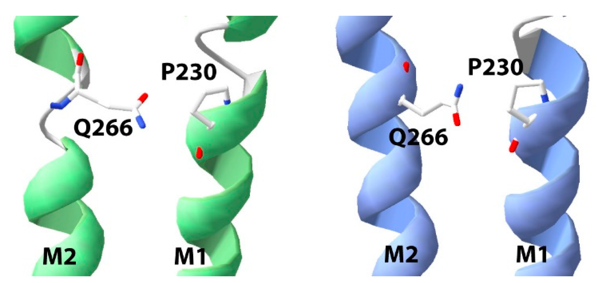Membranes | Free Full-Text | Expression of Mutant Glycine