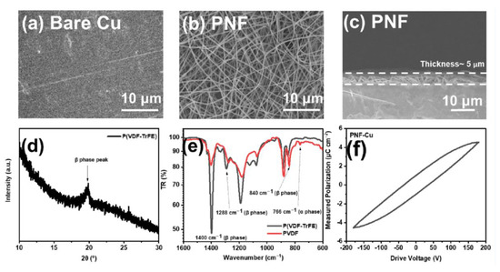 Inhibition of Zinc Dendrites Realized by a β-P(VDF-TrFE