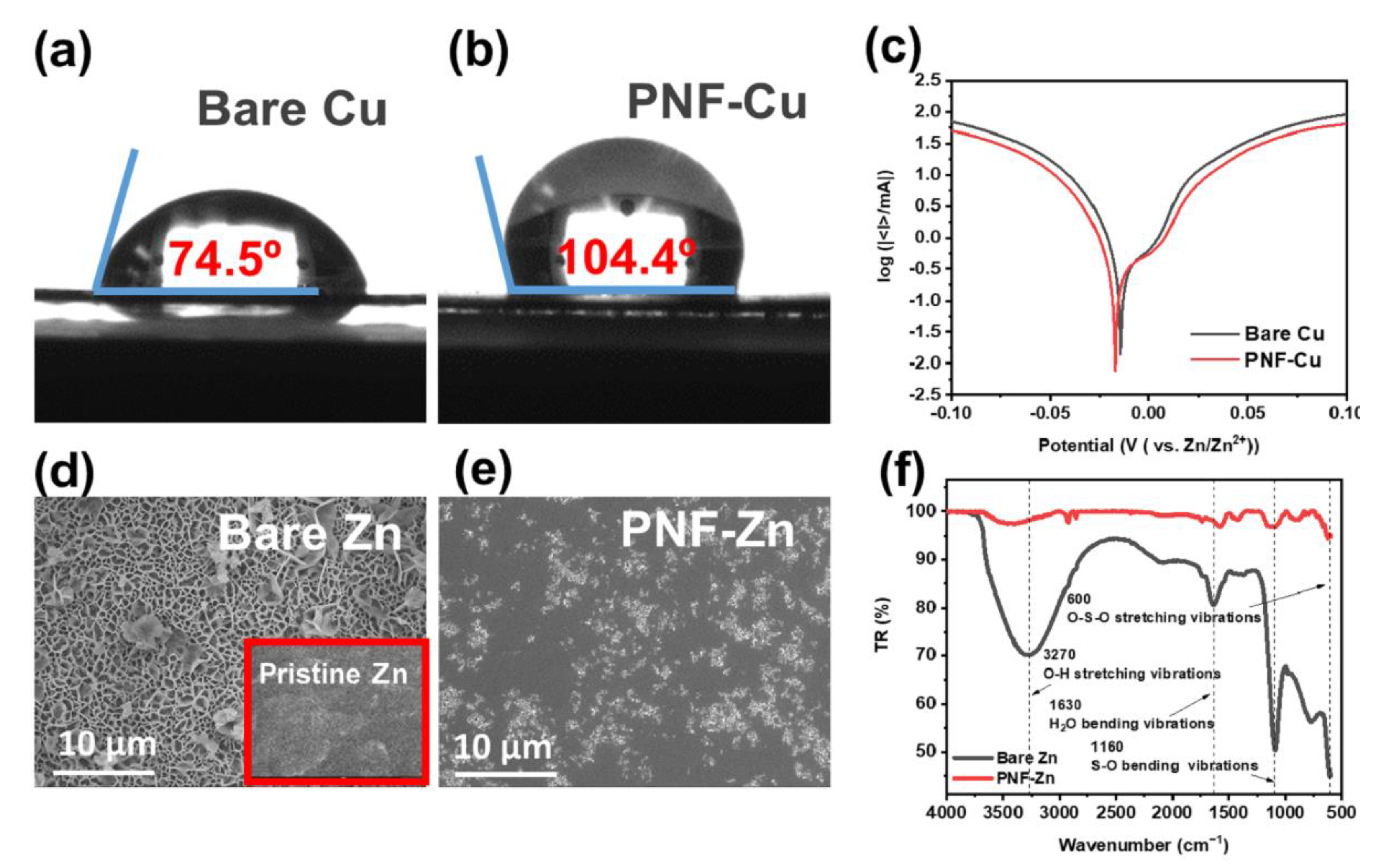 Membranes 12 01014 g002
