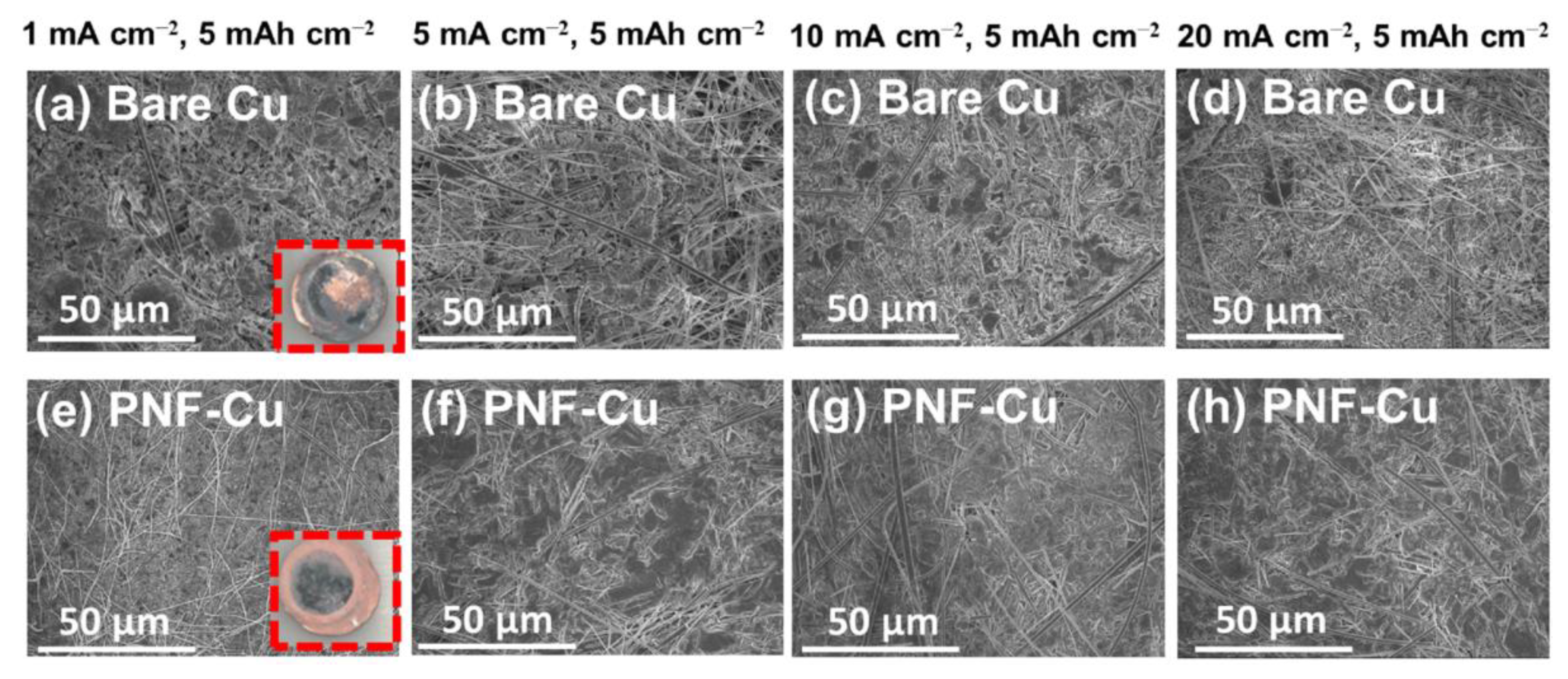 Membranes 12 01014 g003