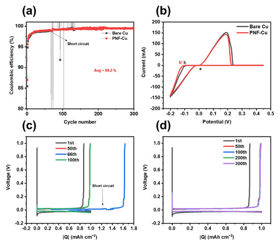 Inhibition of Zinc Dendrites Realized by a β-P(VDF-TrFE