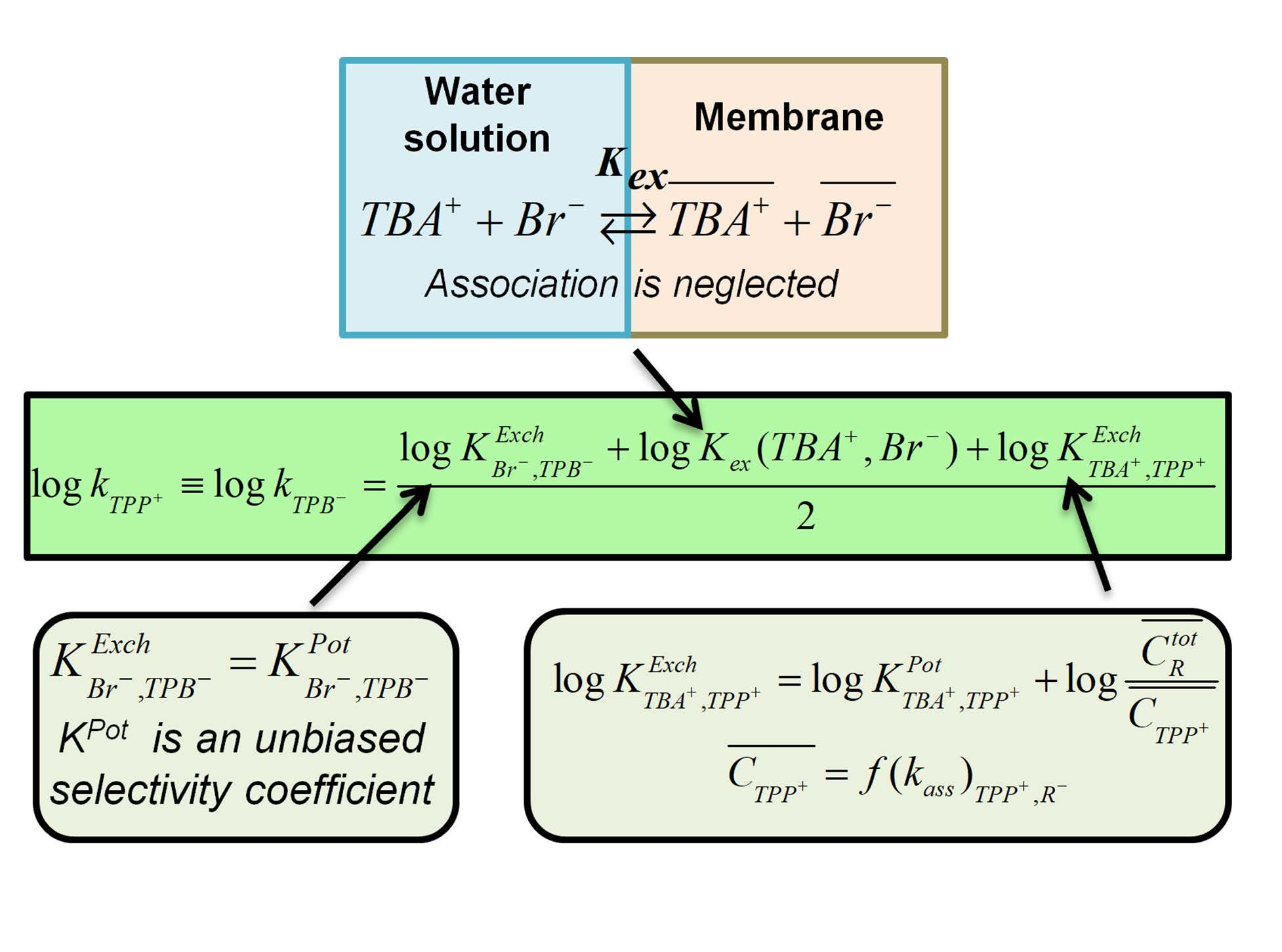 Membranes Free FullText Determination of SingleIon Partition